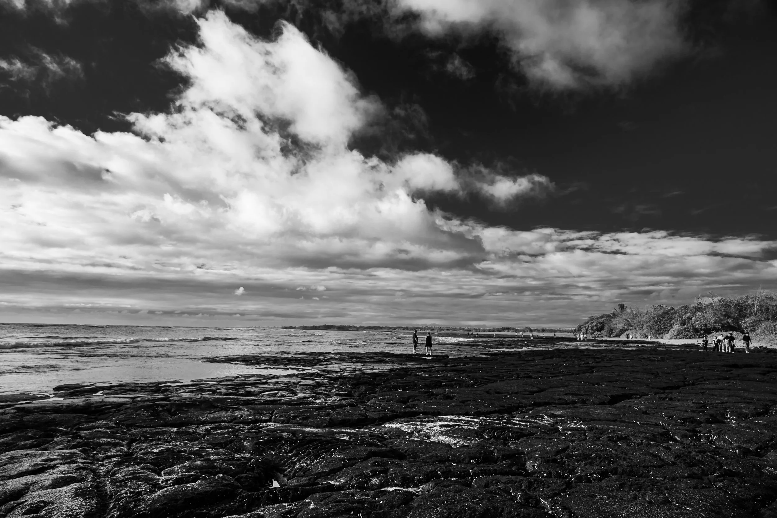 _NZF0626 NIKKOR Z 24-120mm f-4 S 24 mm_.jpg