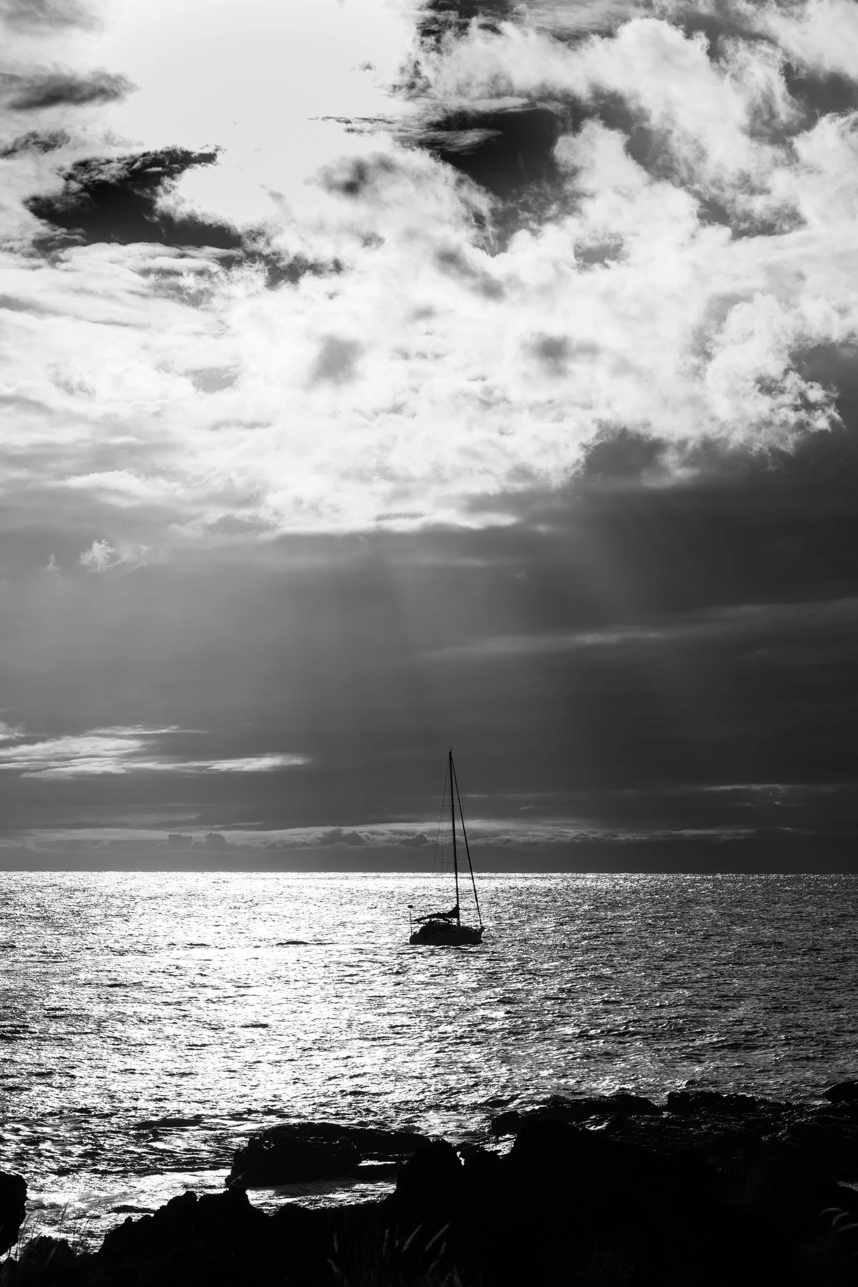 _NZF0635 NIKKOR Z 24-120mm f-4 S 92 mm_.jpg