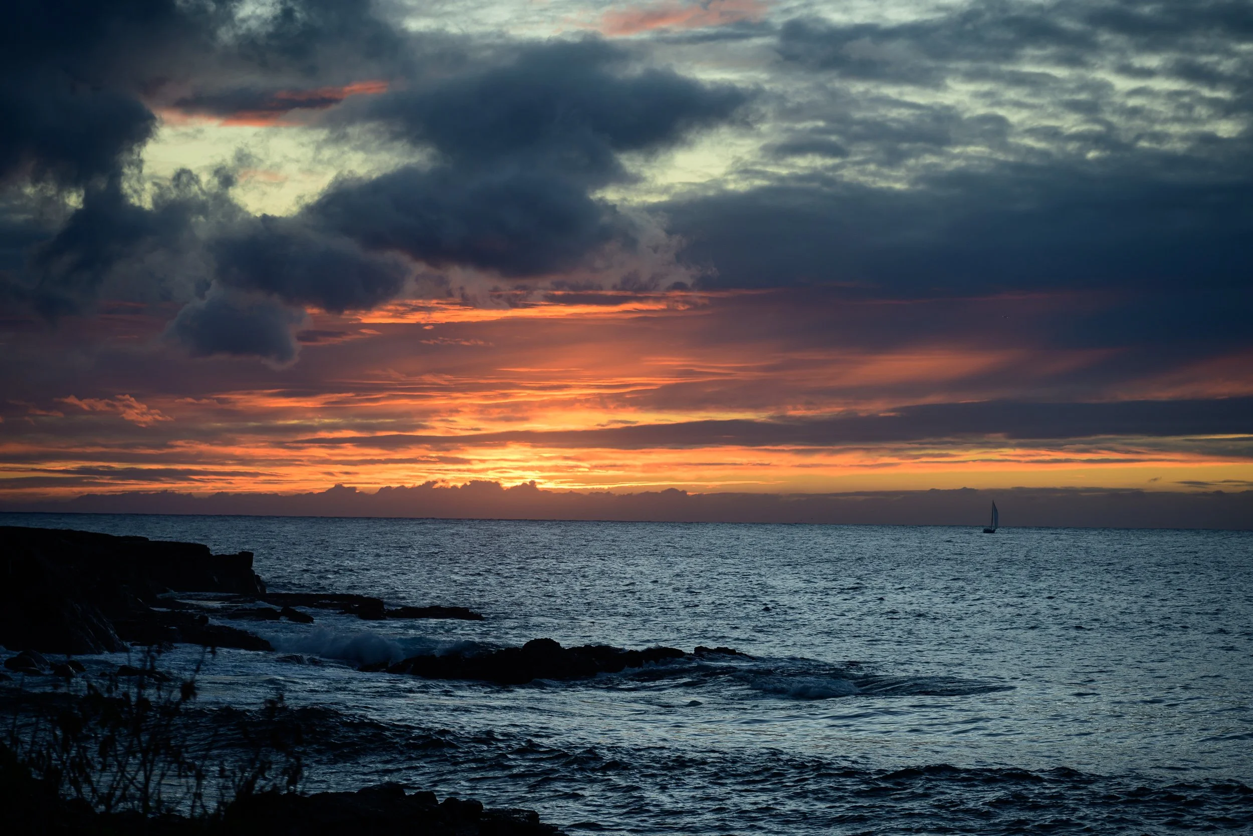 _NZF0659 NIKKOR Z 24-120mm f-4 S 115 mm_.jpg