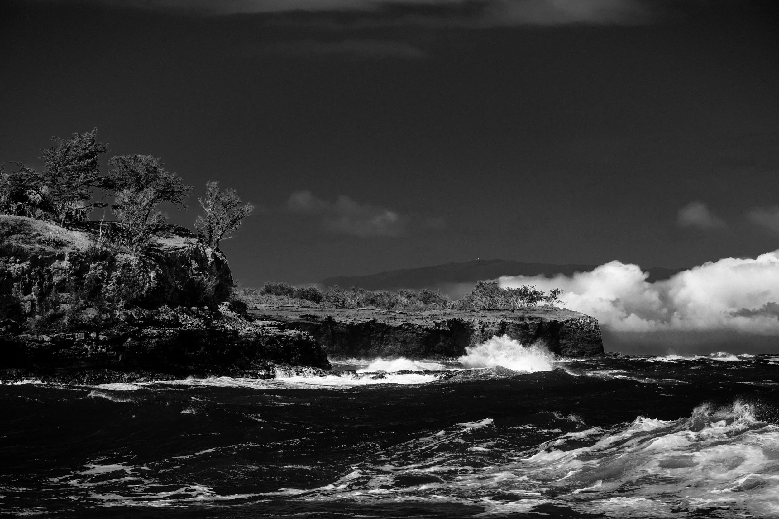 _NZF0705 NIKKOR Z 24-120mm f-4 S 120 mm_.jpg