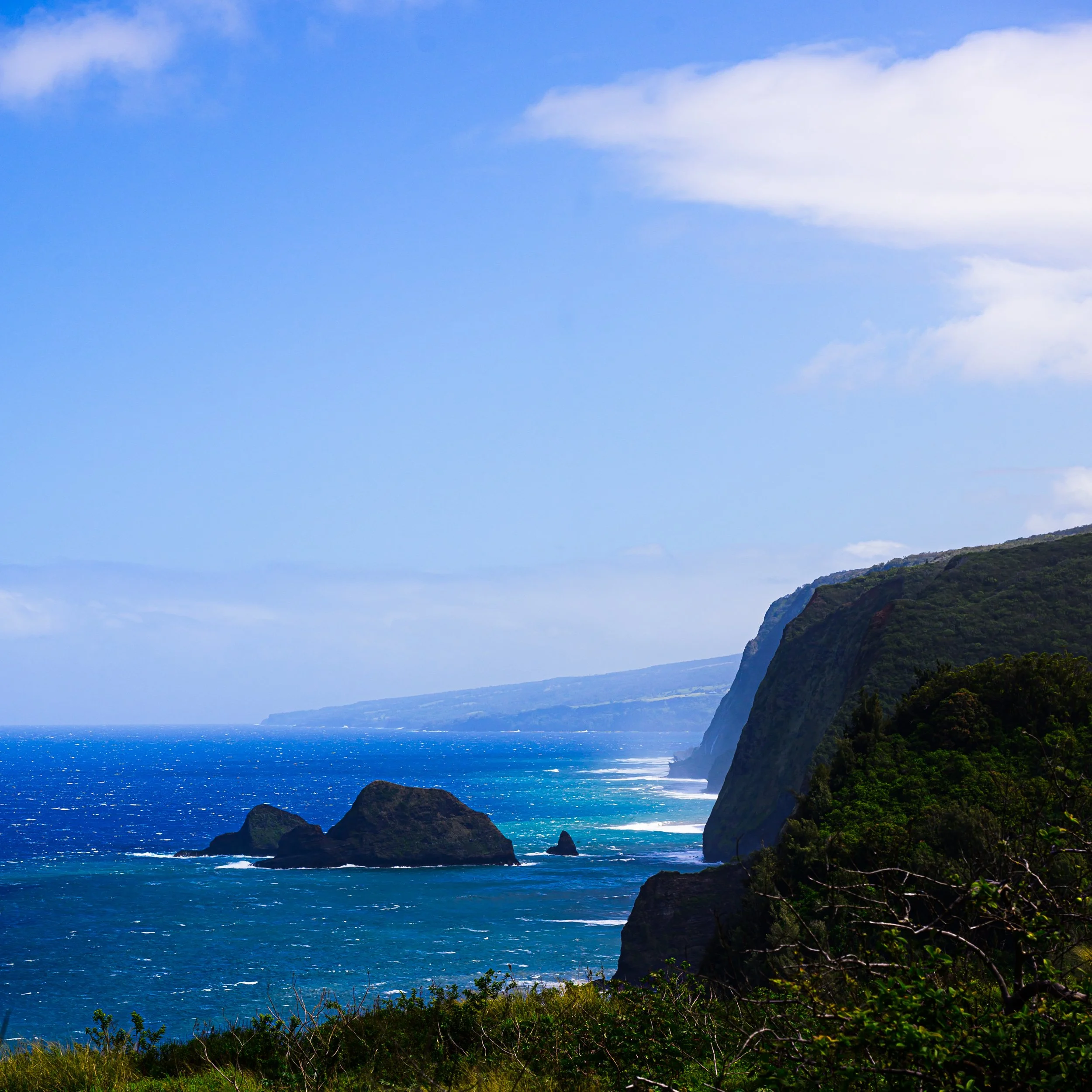 _NZF0744 NIKKOR Z 24-120mm f-4 S 84 mm_.jpg