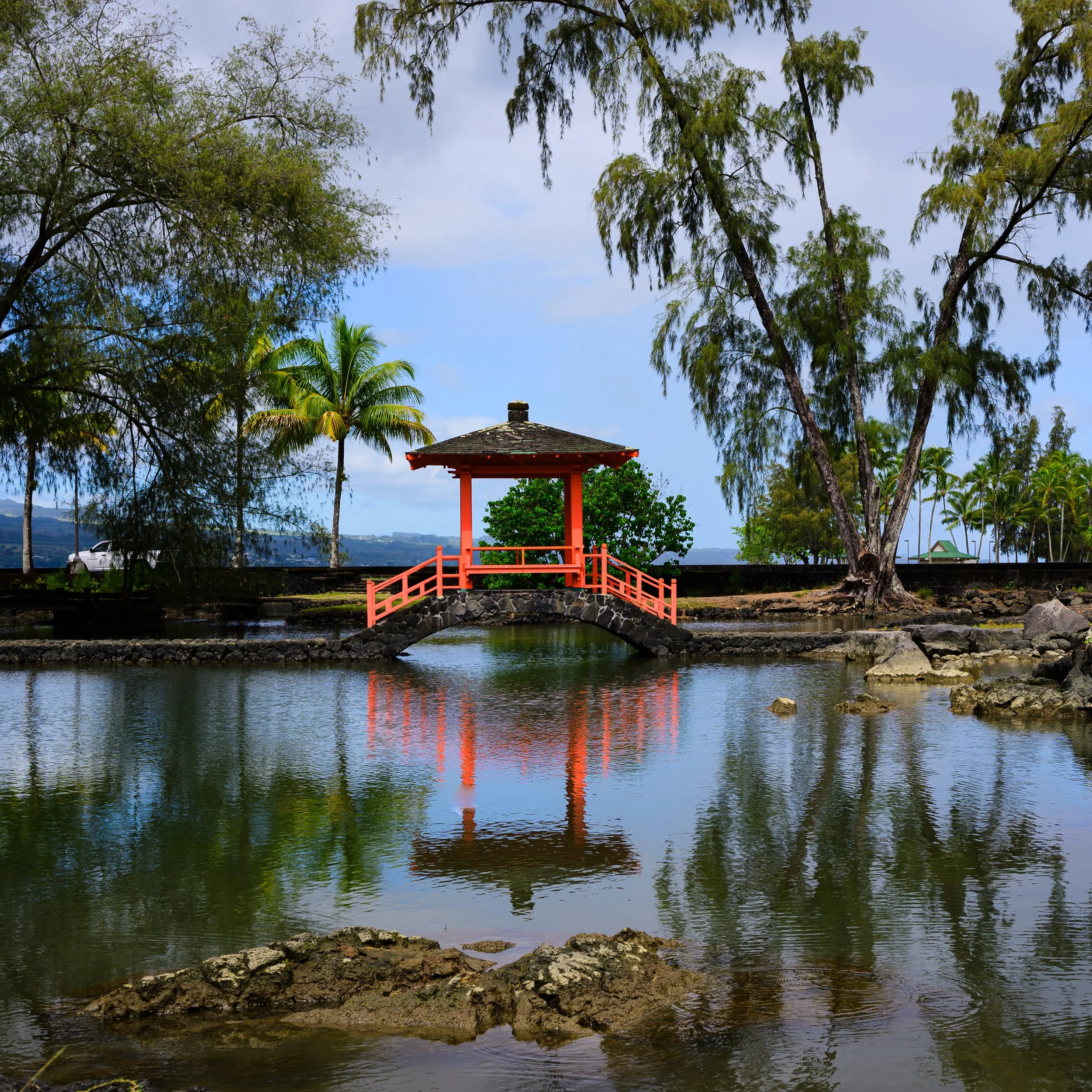 _NZF0779 FE 40mm F2.5 G 40 mm_.jpg