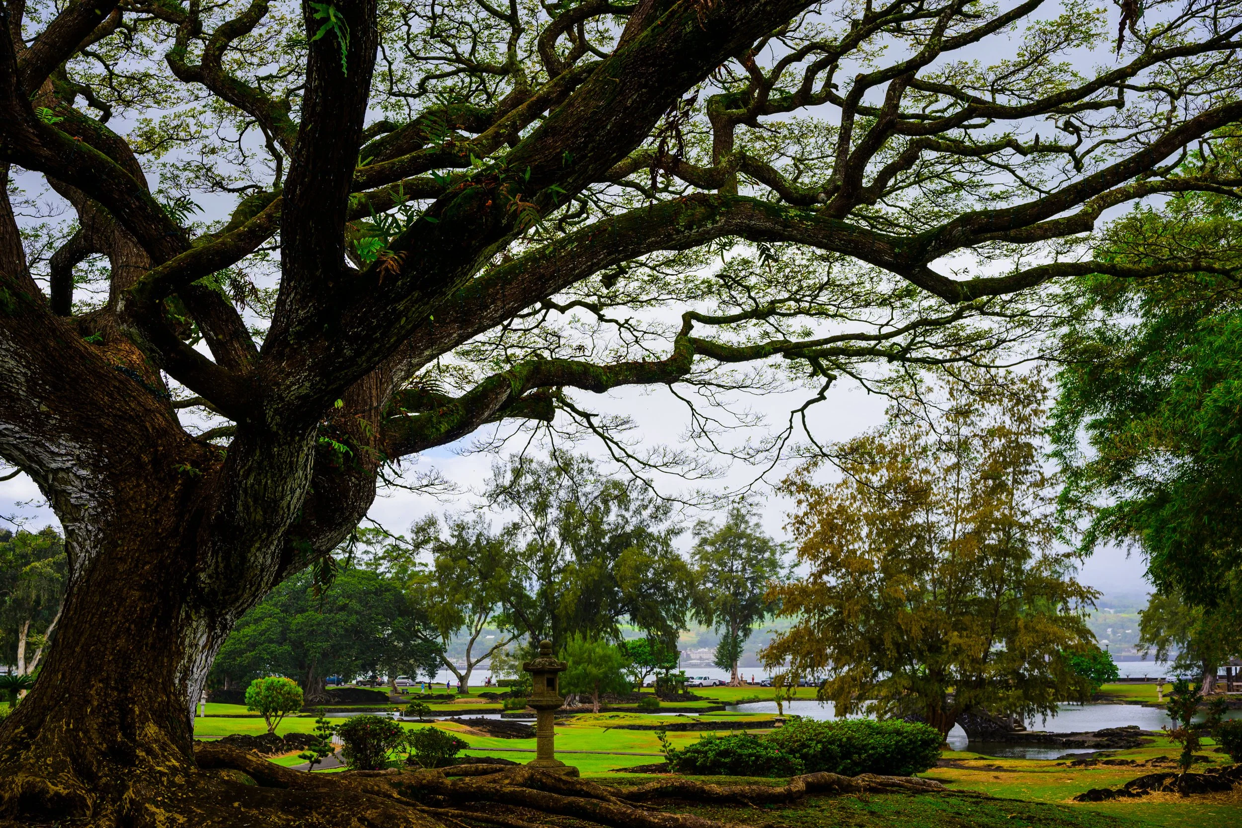 _NZF0786 FE 40mm F2.5 G 40 mm_.jpg