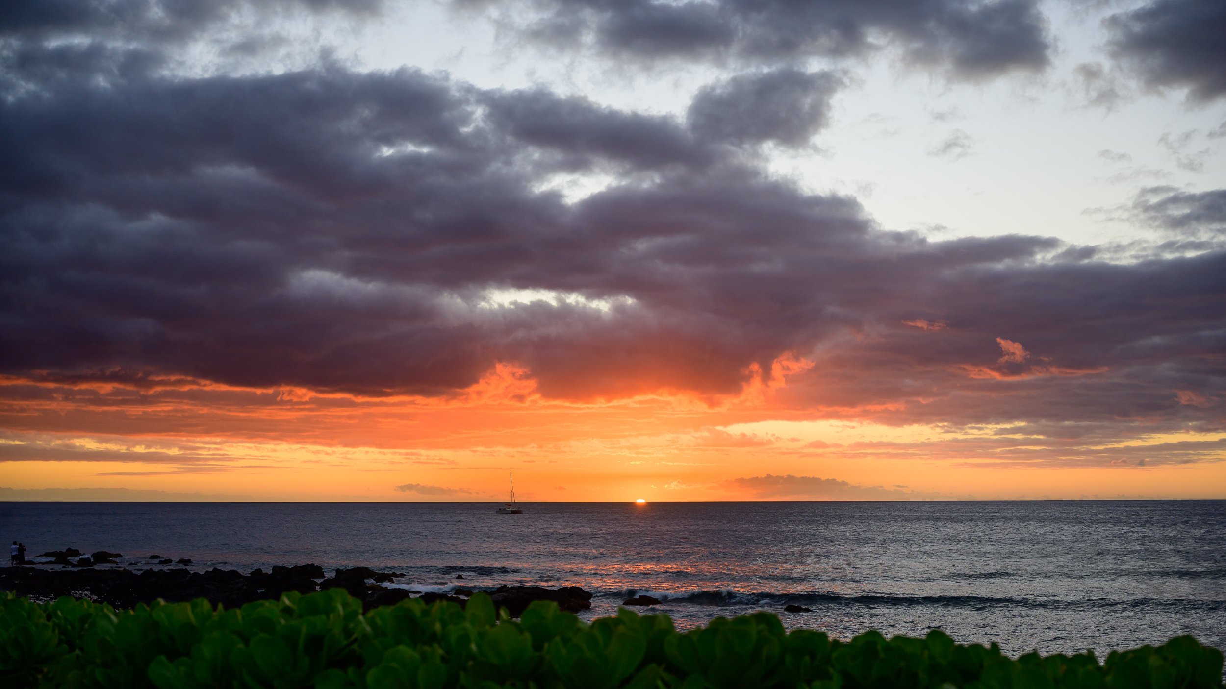_NZF1059 FE 40mm F2.5 G 40 mm_.jpg
