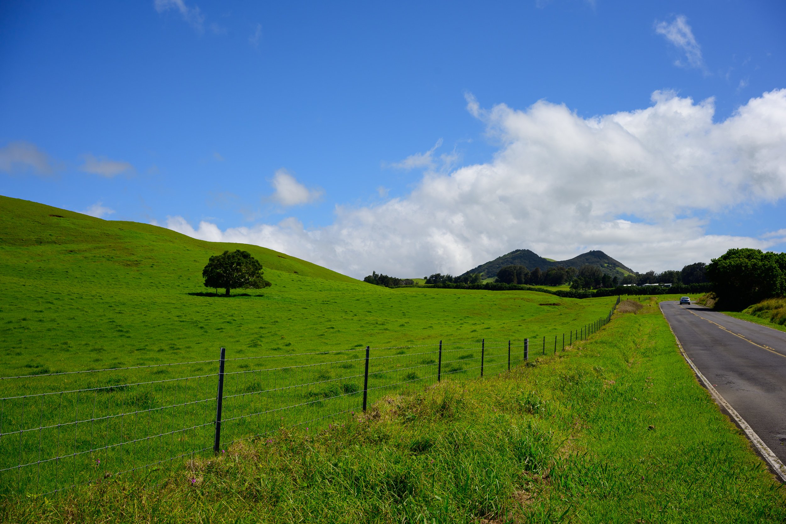 _NZF1701 FE 40mm F2.5 G 40 mm_.jpg