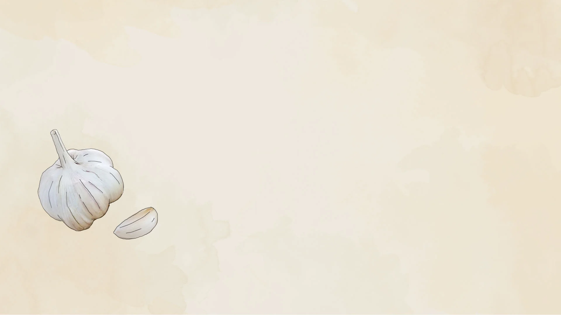 potager-sante-ail-4.png