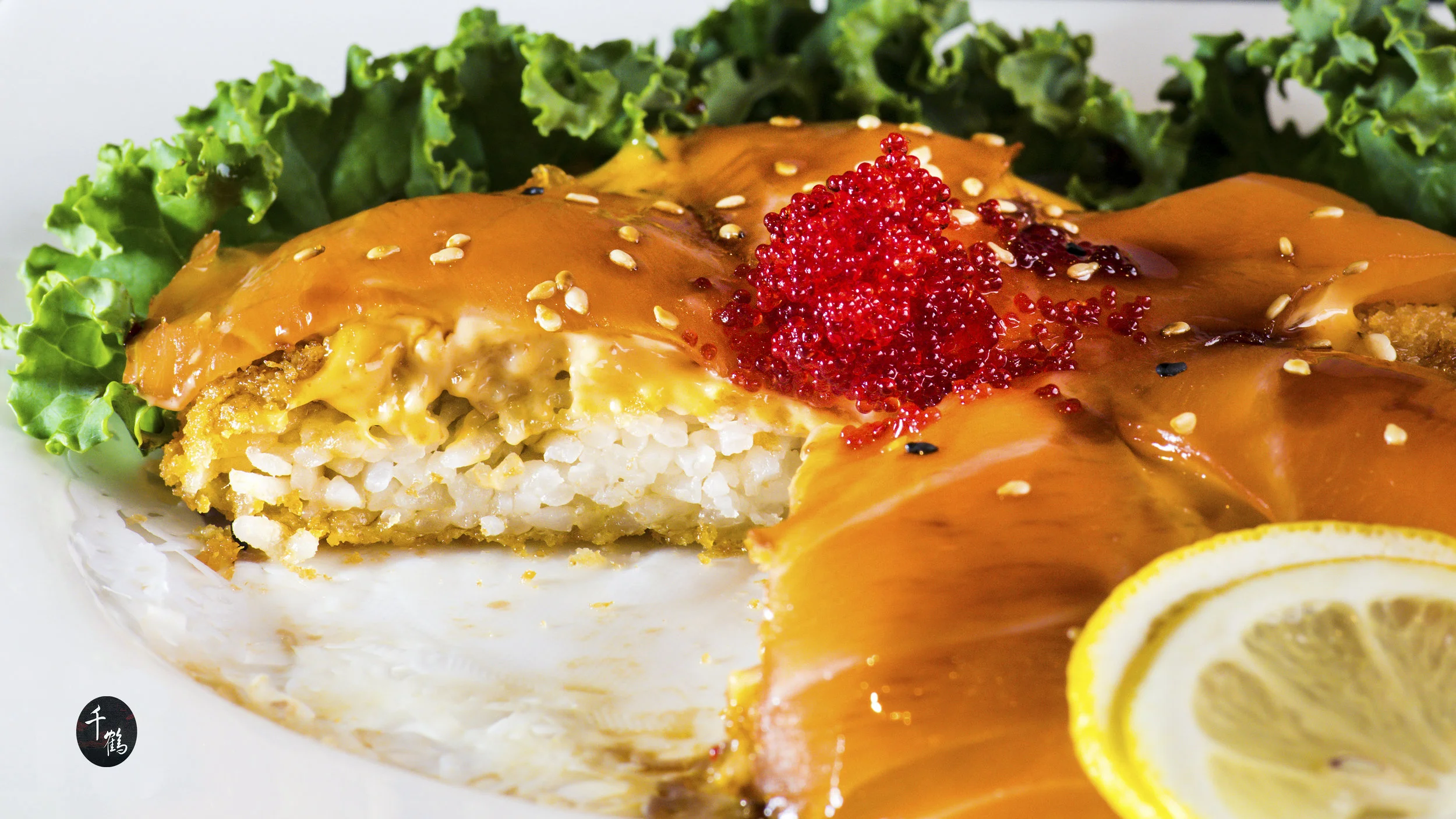 TO1_3372Salmon & Rice.jpg