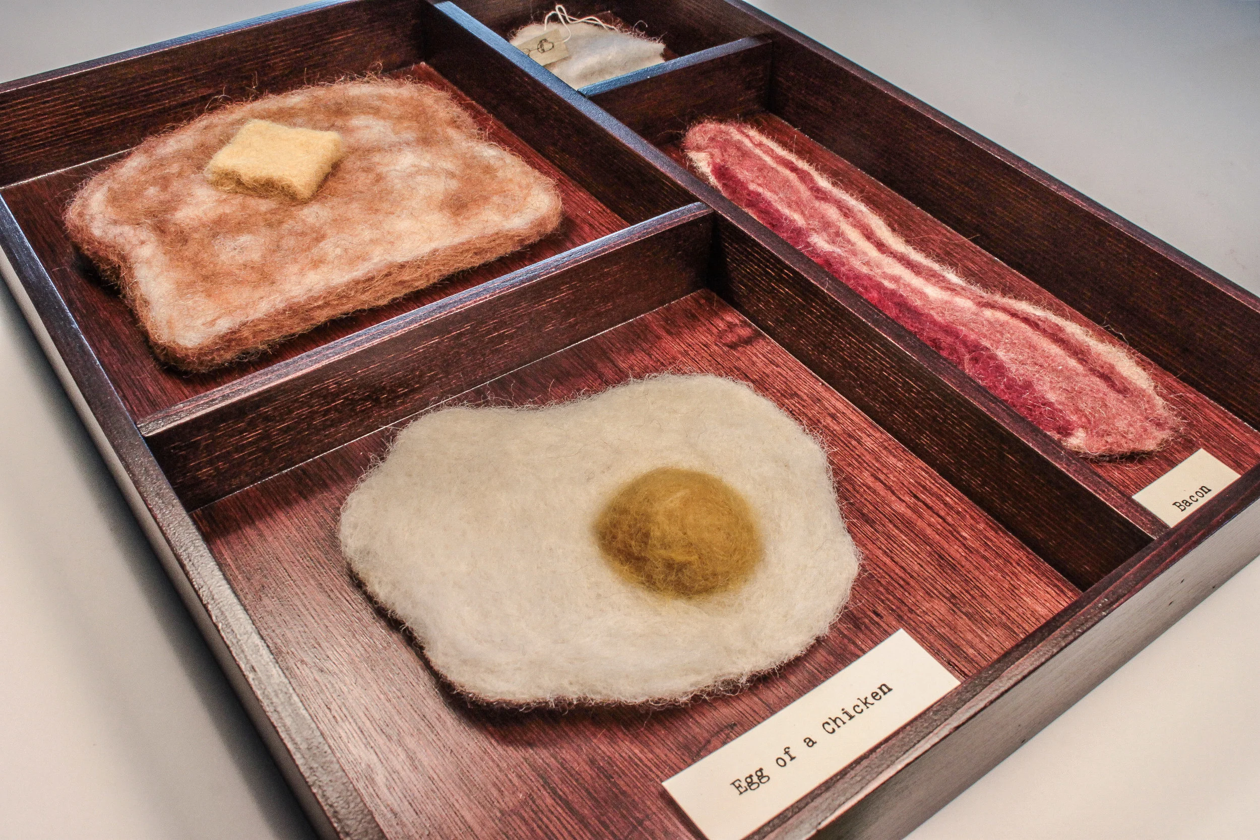 Breakfast Specimens.JPG