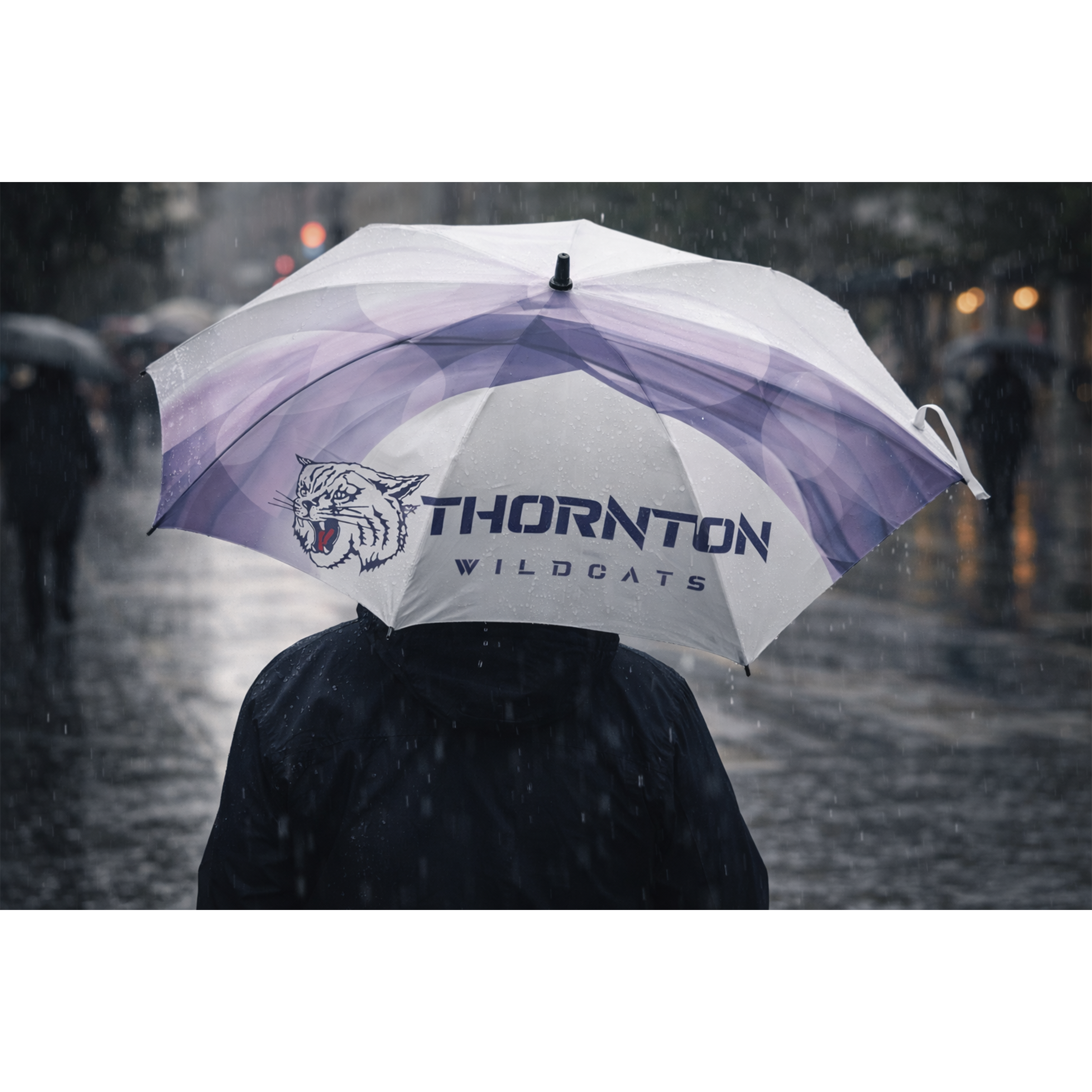 Thornton Umbrella 1.png