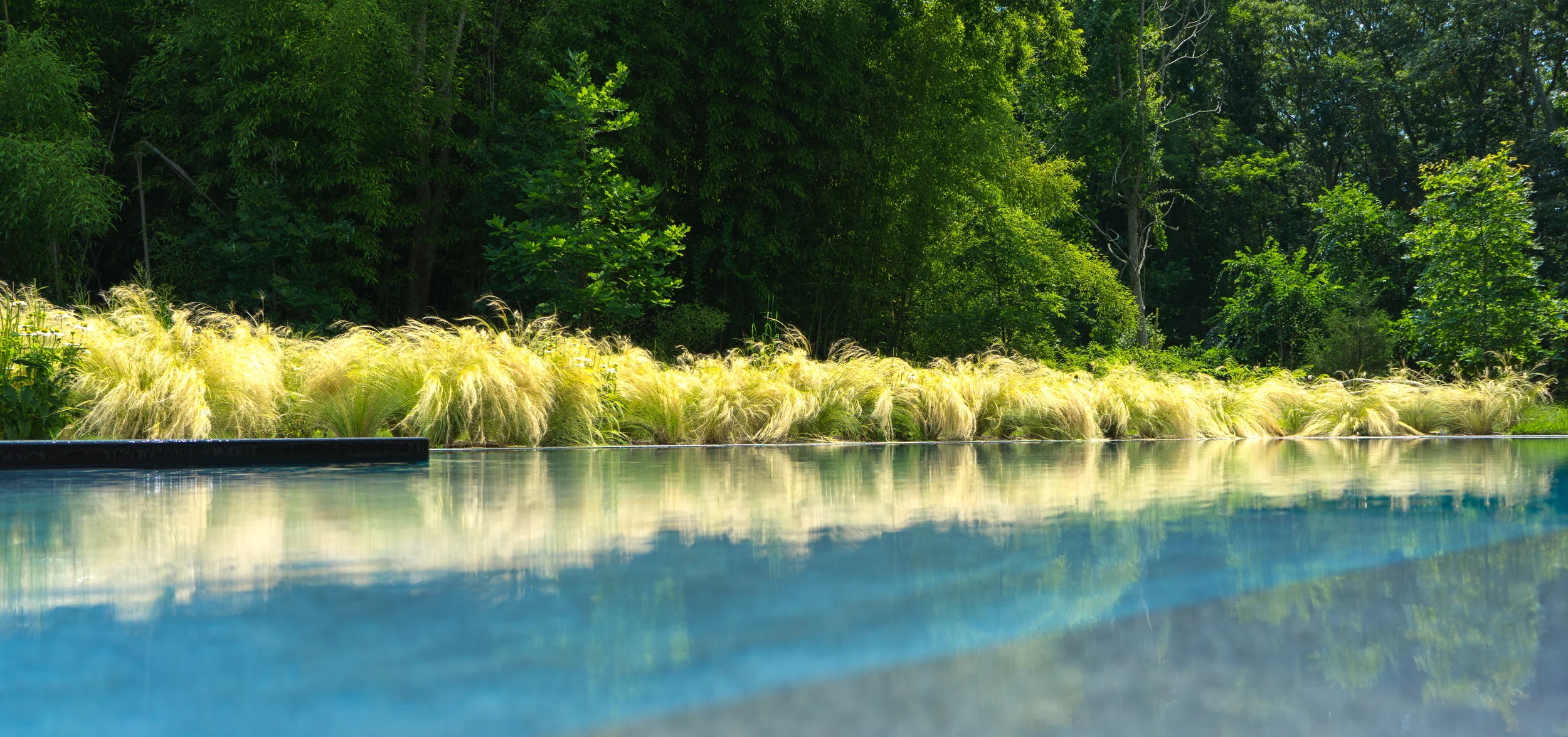 Untitled_HDR12.jpg