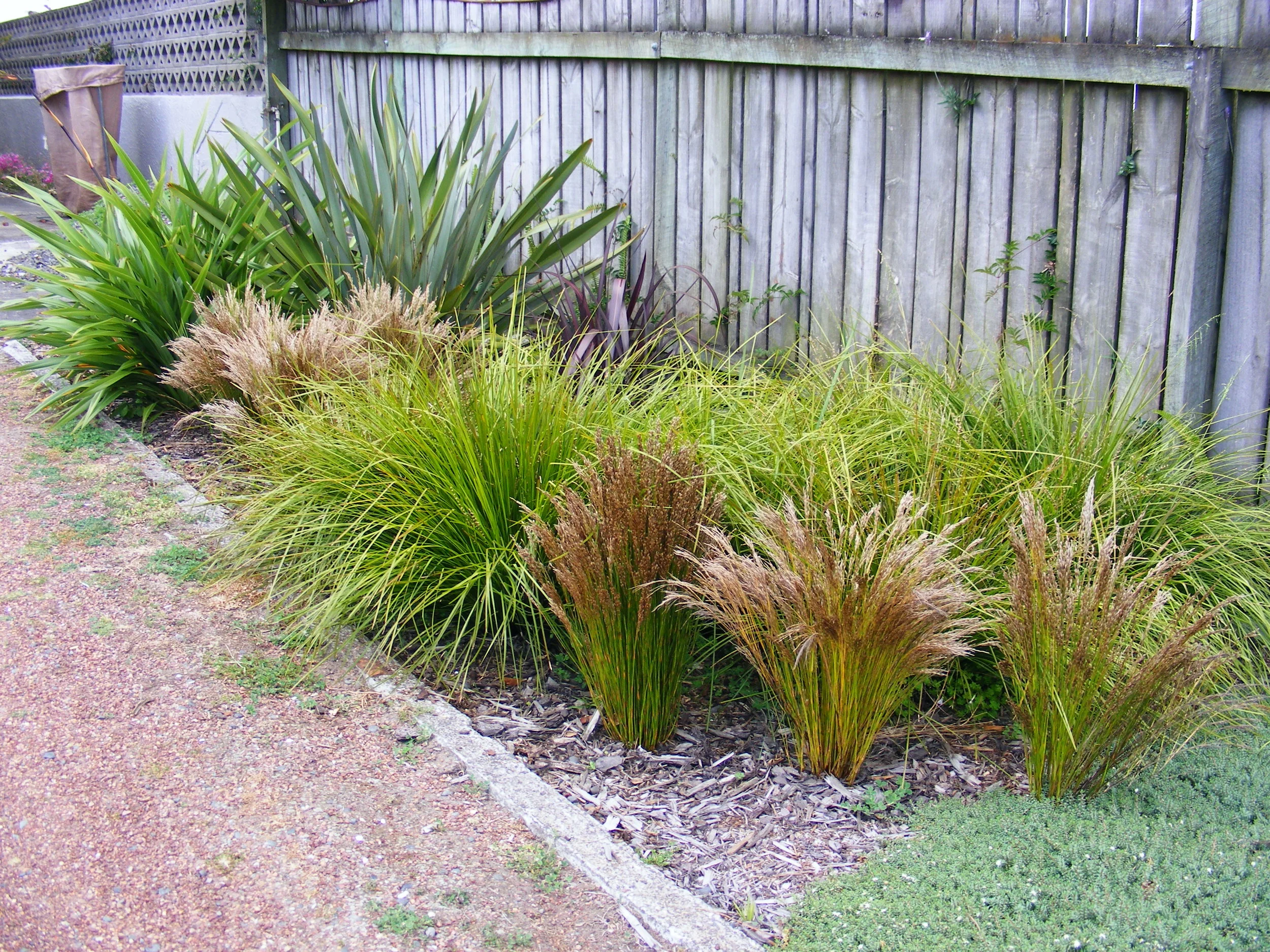 Front Drive Garden Planting matured.JPG