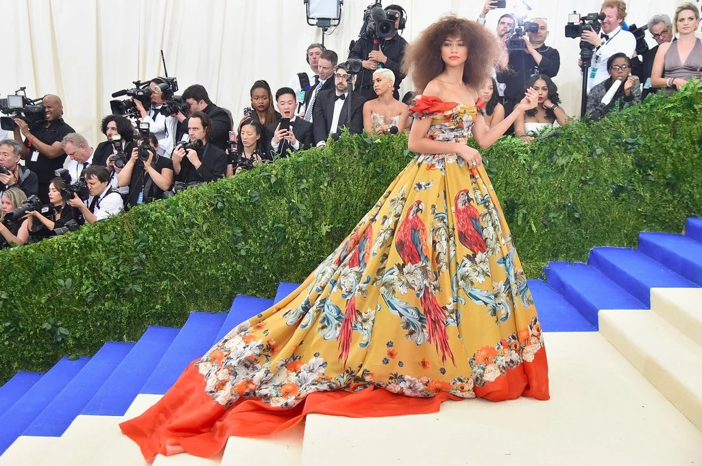 Zendaya-Dolce-Gabbana-Dress-Met-Gala-2017.jpg