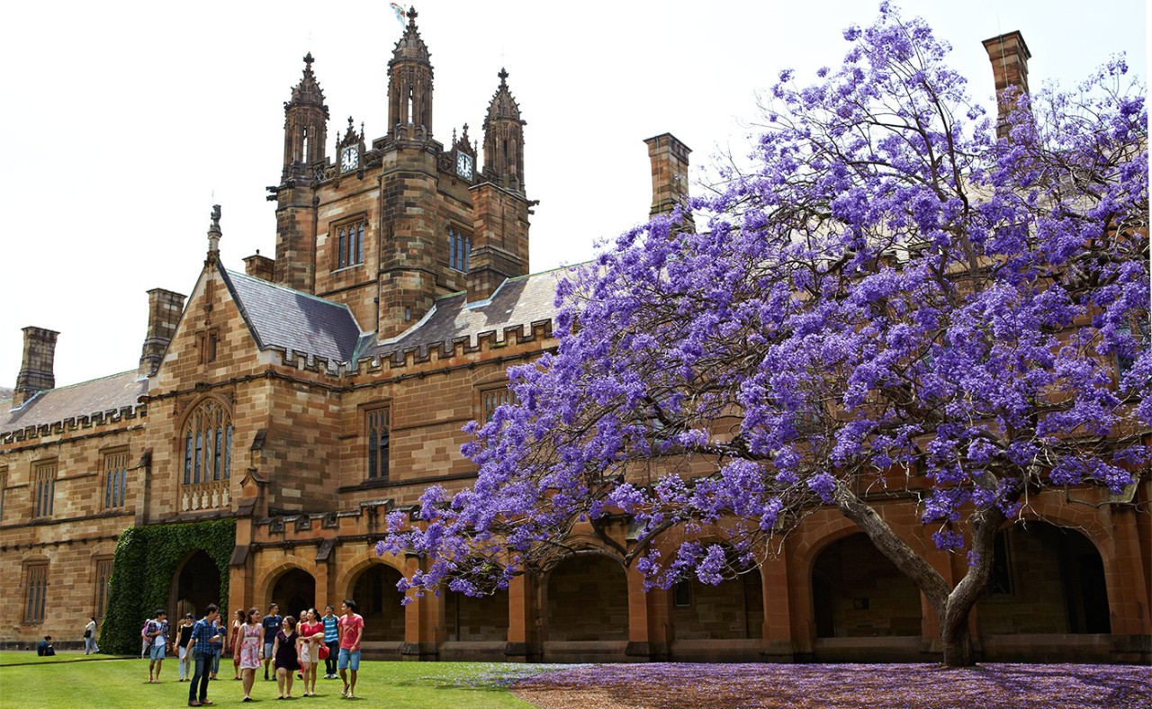 Photo Source: University of Sydney Website
