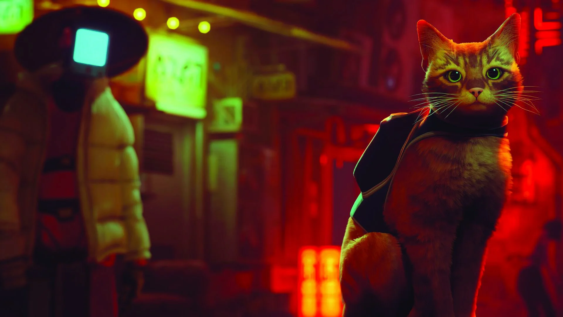 Stray: “I am a cat. As yet, I have no name.”
