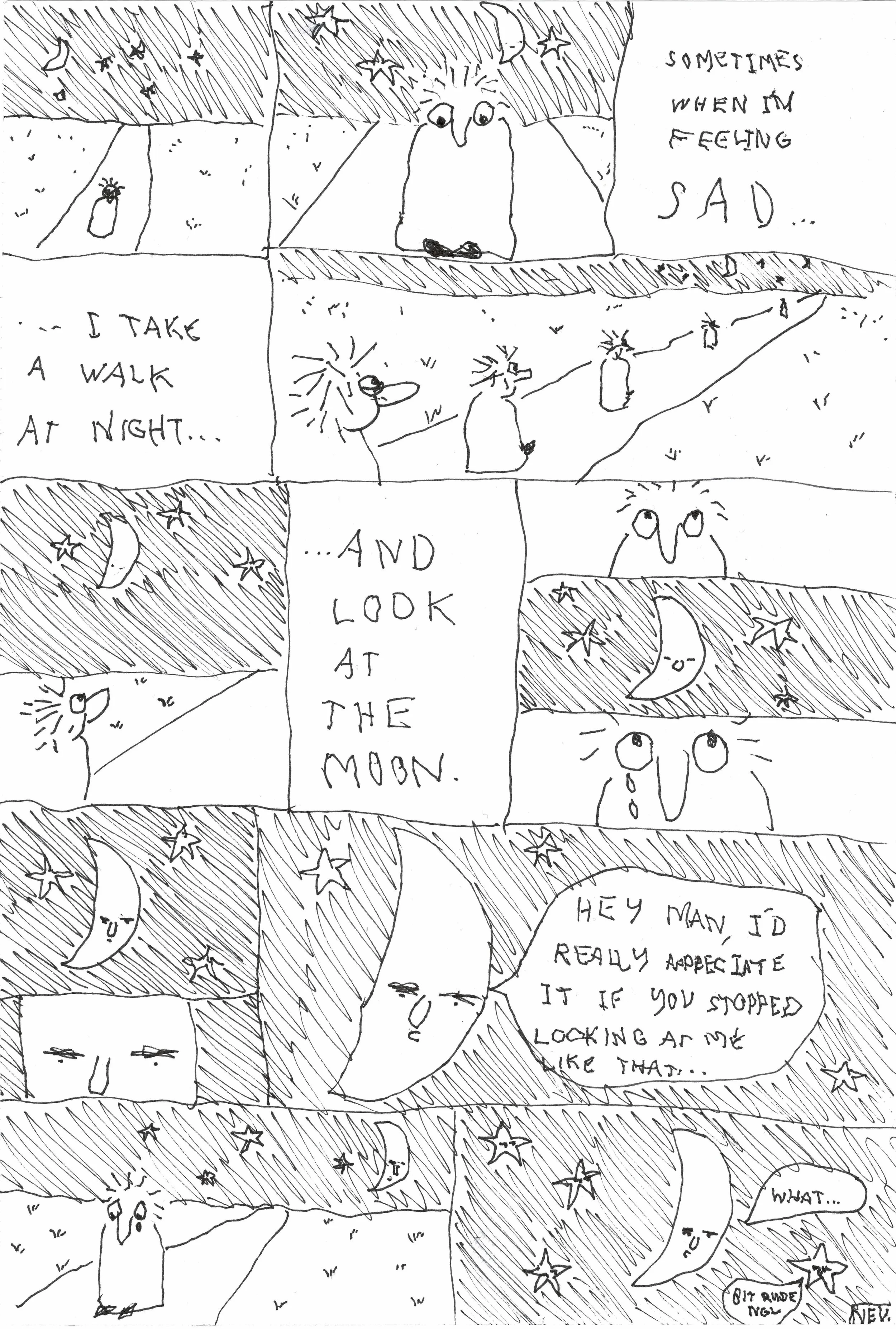 The Moon