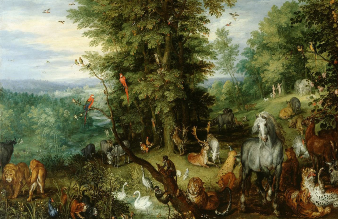 The city as a garden of earthly delights