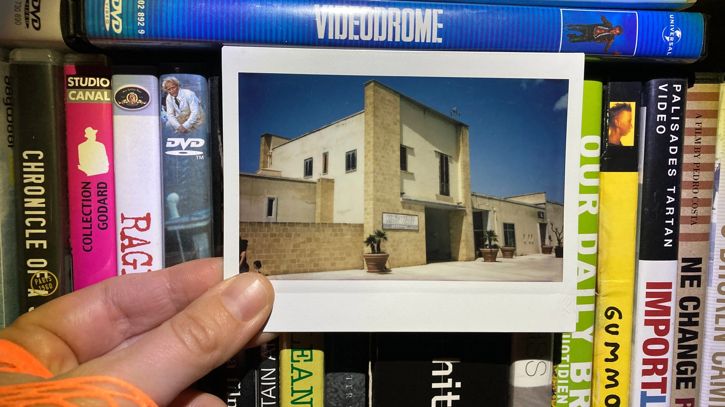 SFF 2023 REVIEW: Kim's Video — “A lot of things used to be here, and now they are not”