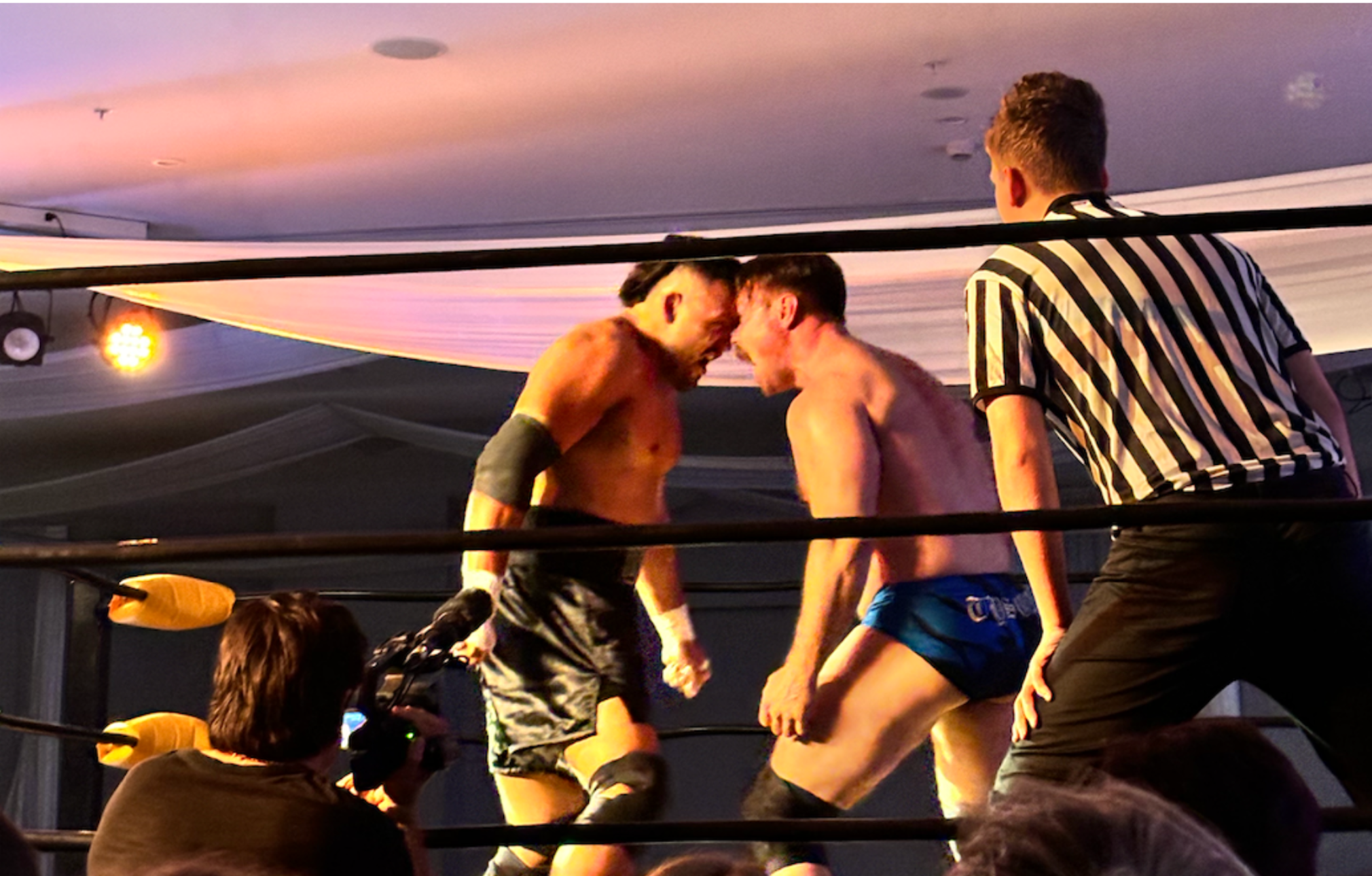 Watching Men Wrestle: Sport and the Female Gaze