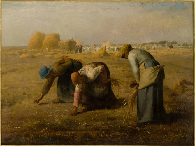 Gleaning