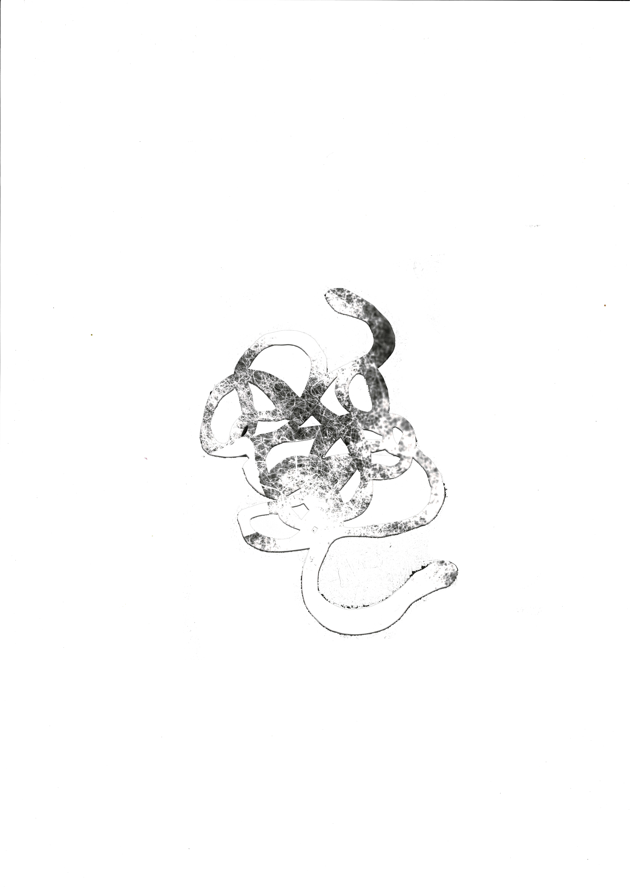 Parasite