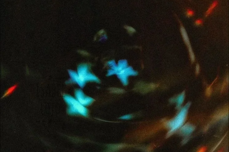 LIMERENT LIGHT CONES