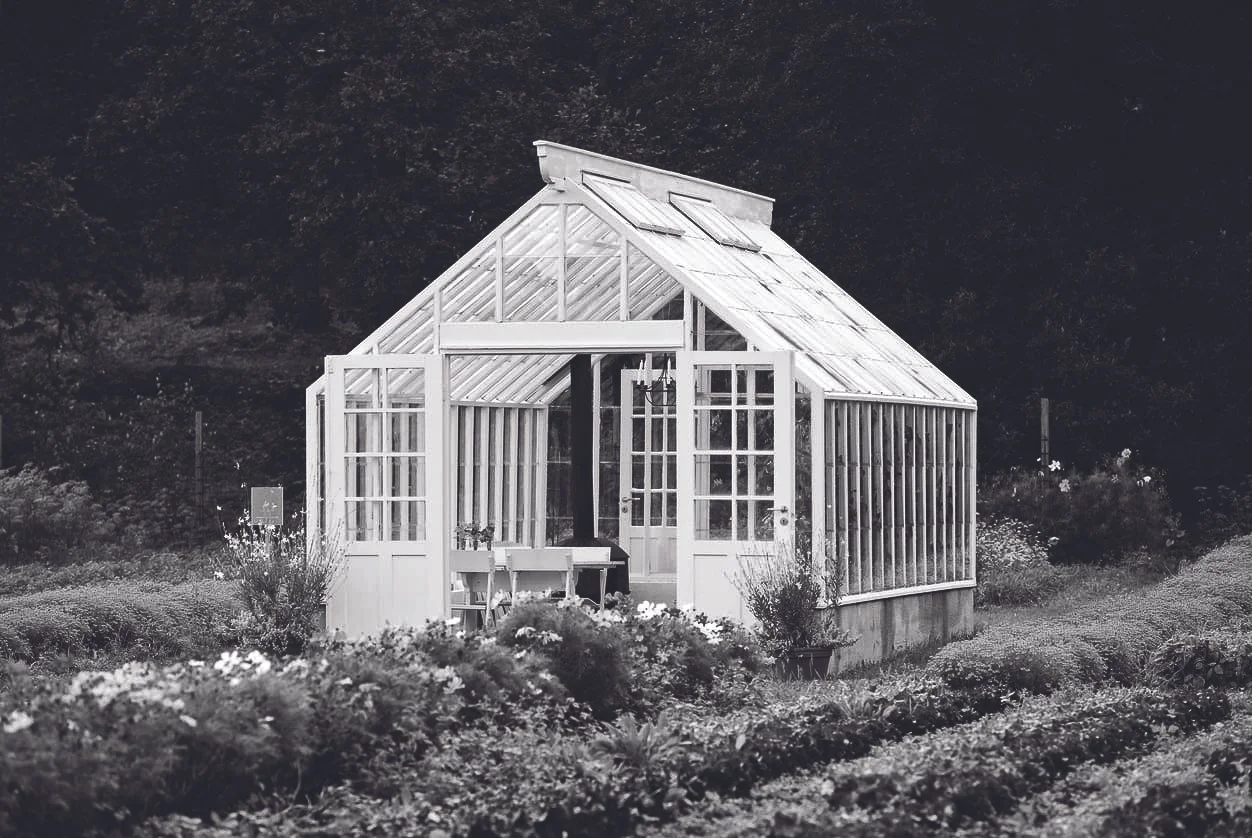 The Creatures in my Greenhouse March for Australia