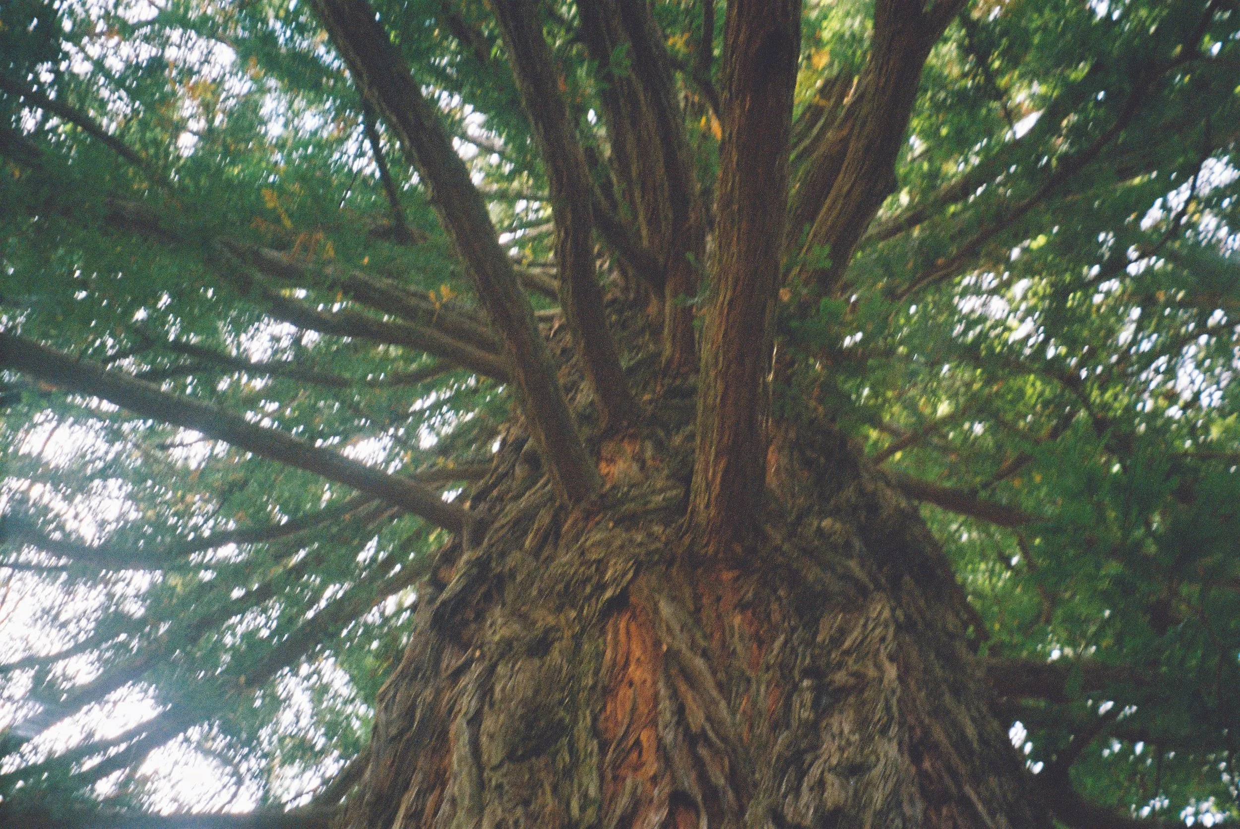 No More Need For Greenwashing