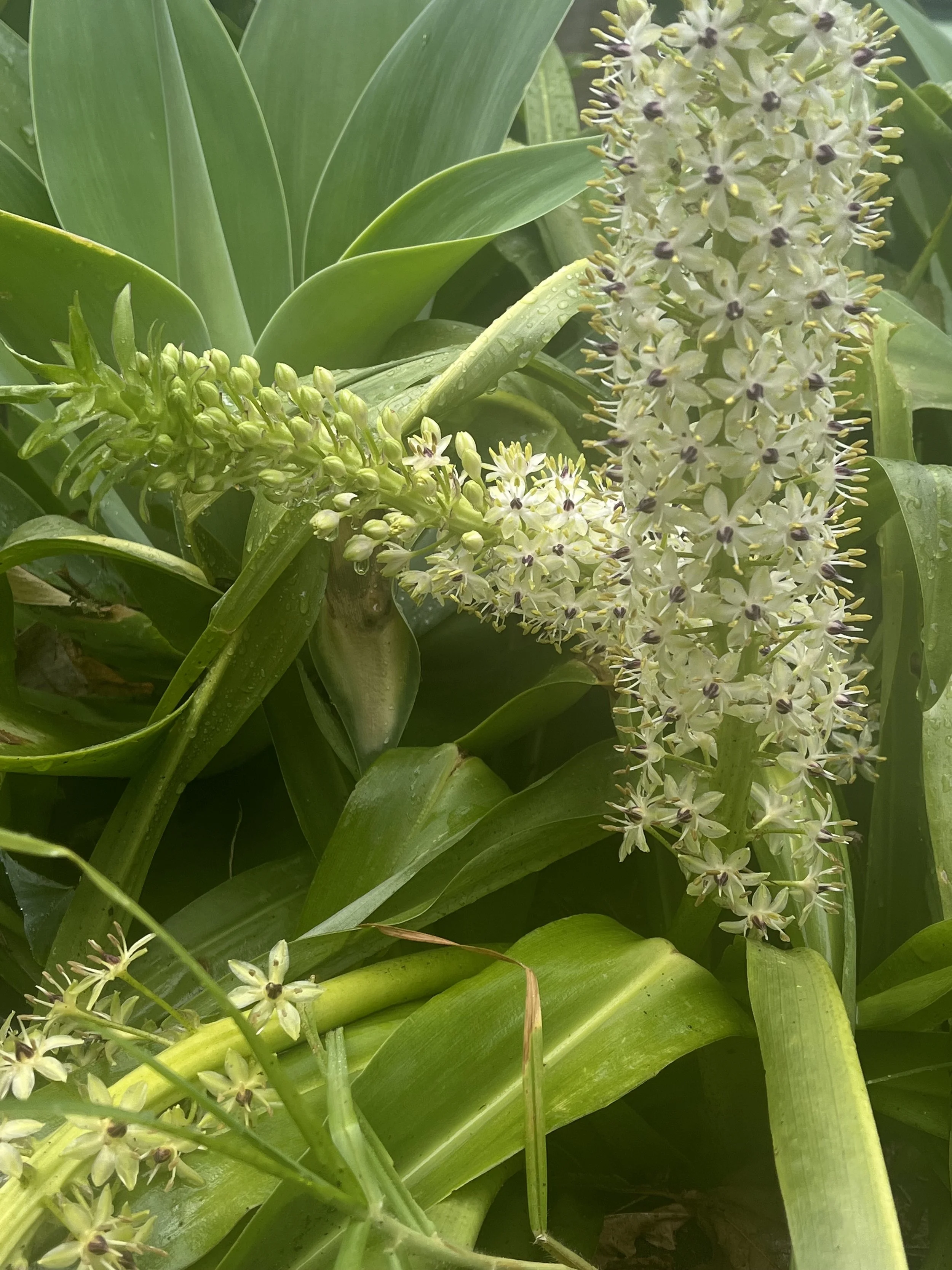 The Year I Delete Instagram