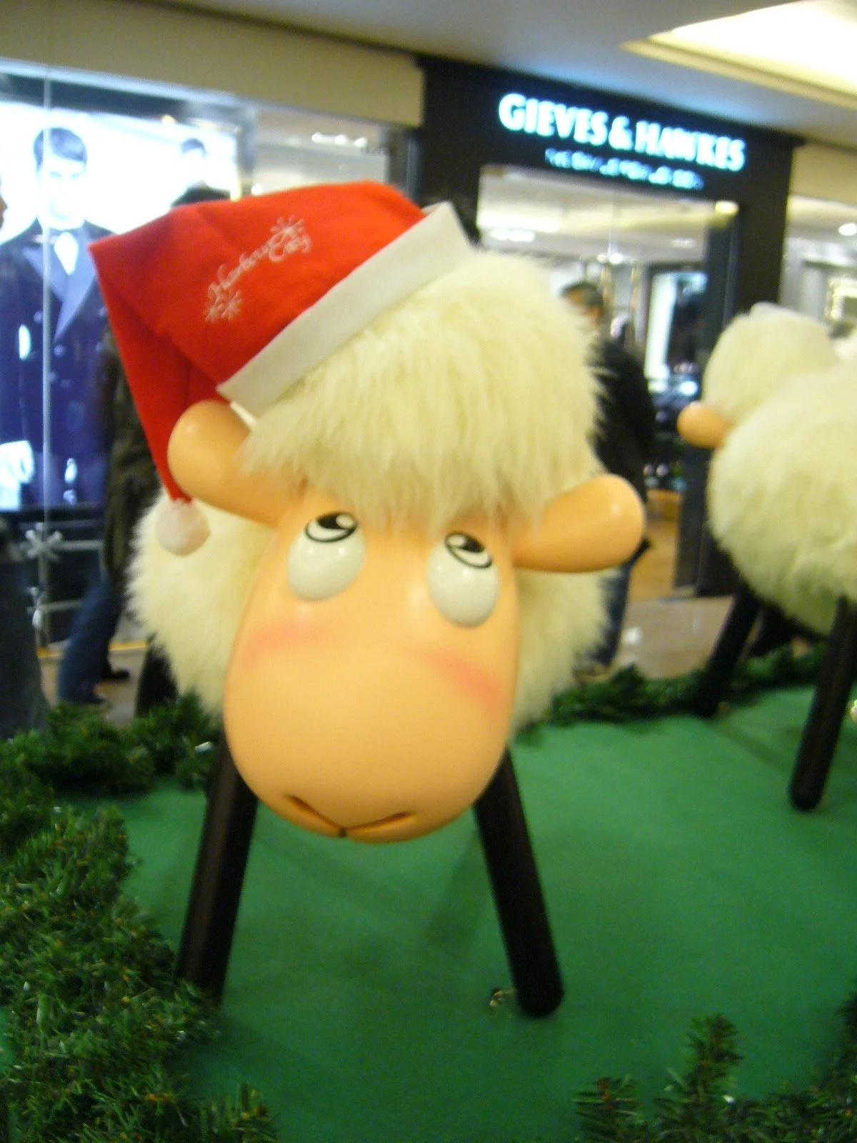 P1050934.JPG