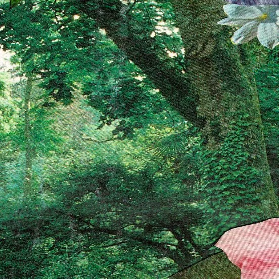 Happy Ending Secret Garden