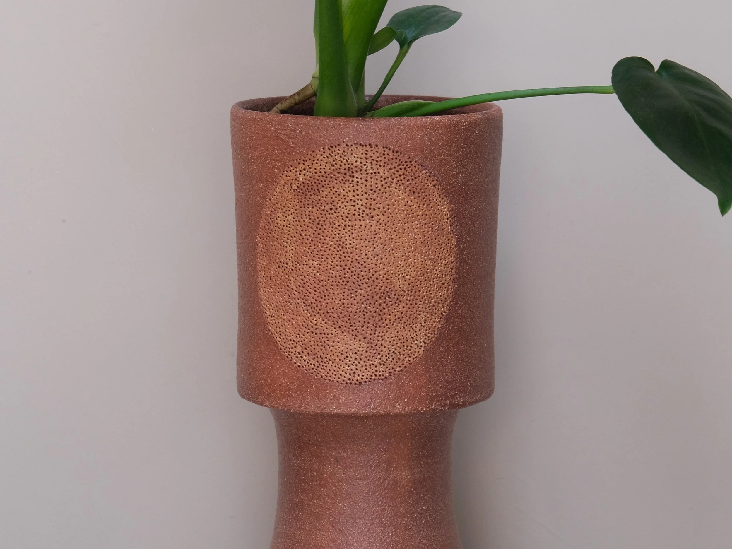 DSCF9907.jpg