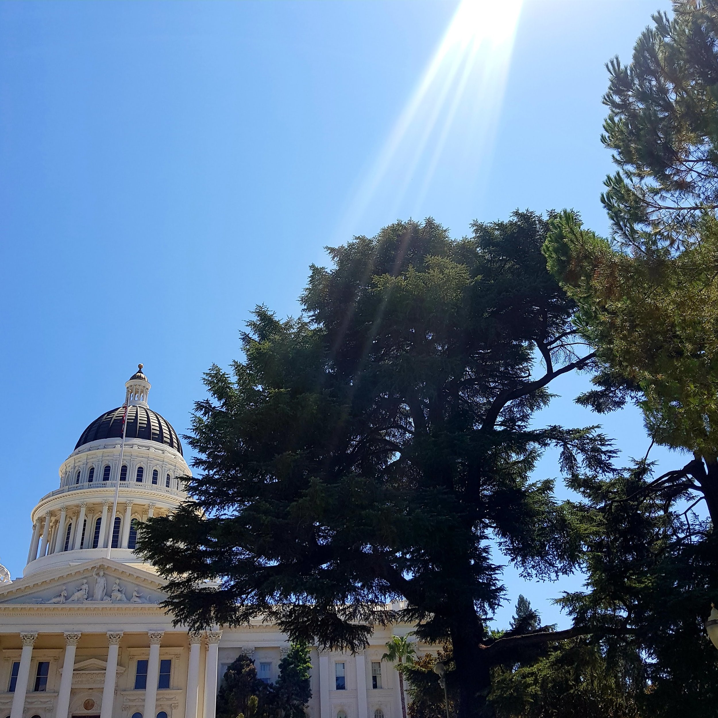 Sacramento: Home of the 2020 World Butchers’ Challenge 