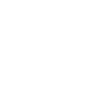 V logo - SQUARE - sm.png