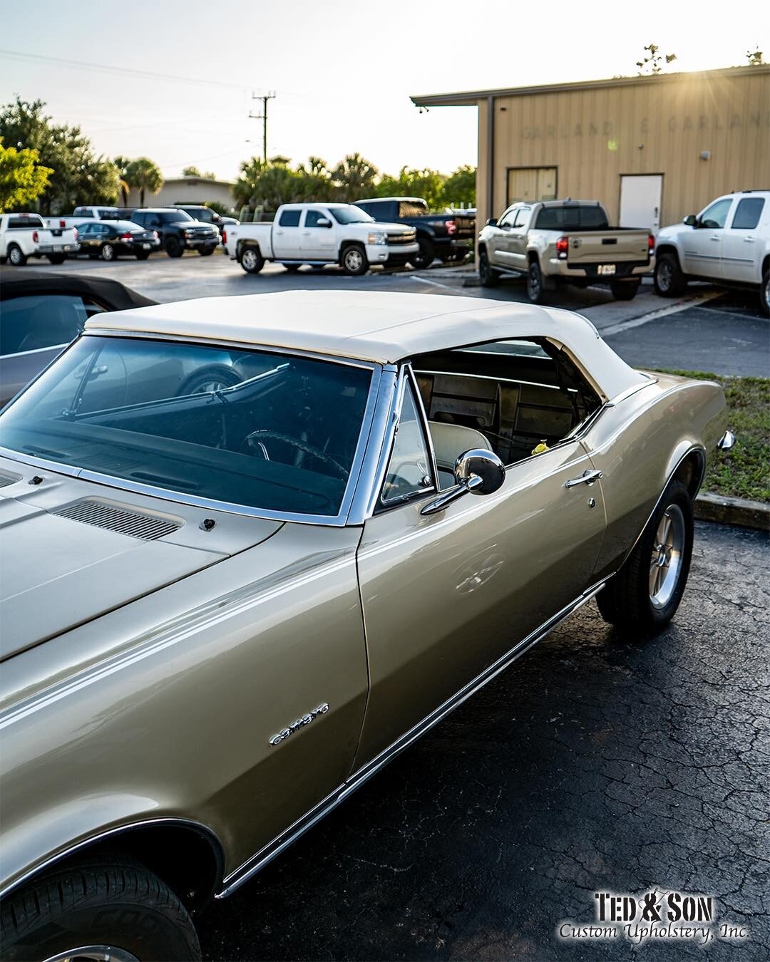 67&rsquo; Camaro got a new roof. Beautiful vinyl with a glass window, installed perfectly. 

3414 Enterprise Ave 
Naples FL 34104 
239-649-6344

#Upholstery #TedandSon #customupholstery #Naples #NaplesFL #fortmyersbeach #fortmyers #bonitaspringsfl  #