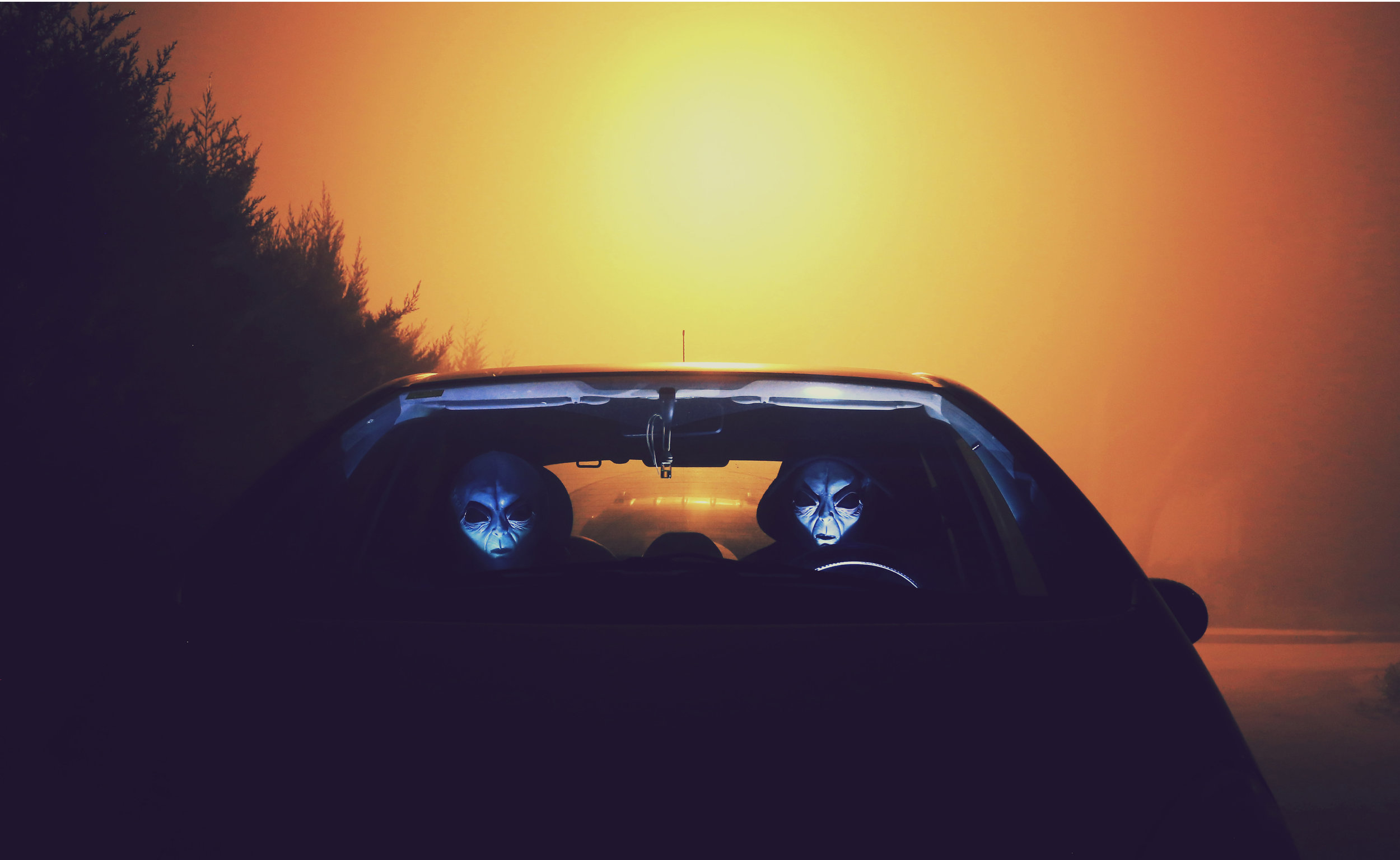 Dear neighbour, Early this morning ‘Apocalypse Soon!’ was announced after ‘Sugar is Killing Us All’ on the History Channel. Please join me in The New World. A minivan will come Sunday. Tony is bringing snacks, and a Beatles song appointed him Divin