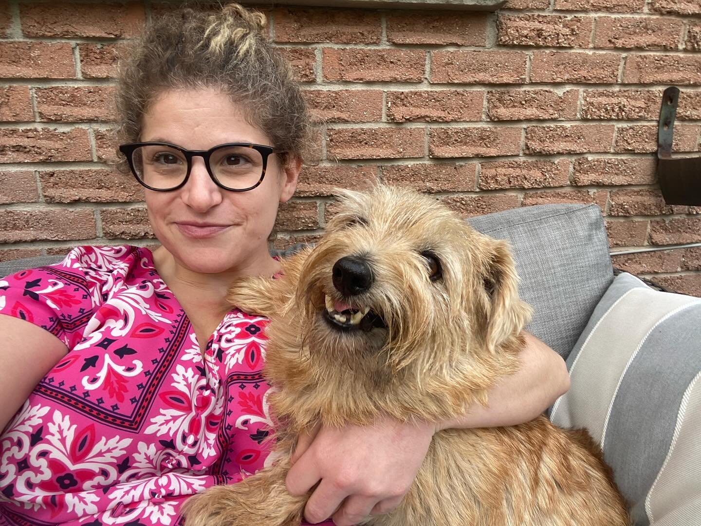 With the silliest little guy 🤪 alfonzie. 

#norfolkterrier #norfolkterriersofinstagram #dogsofinstagram #dogstagram #dogslife #terriersofinstagram #dogsofinsta