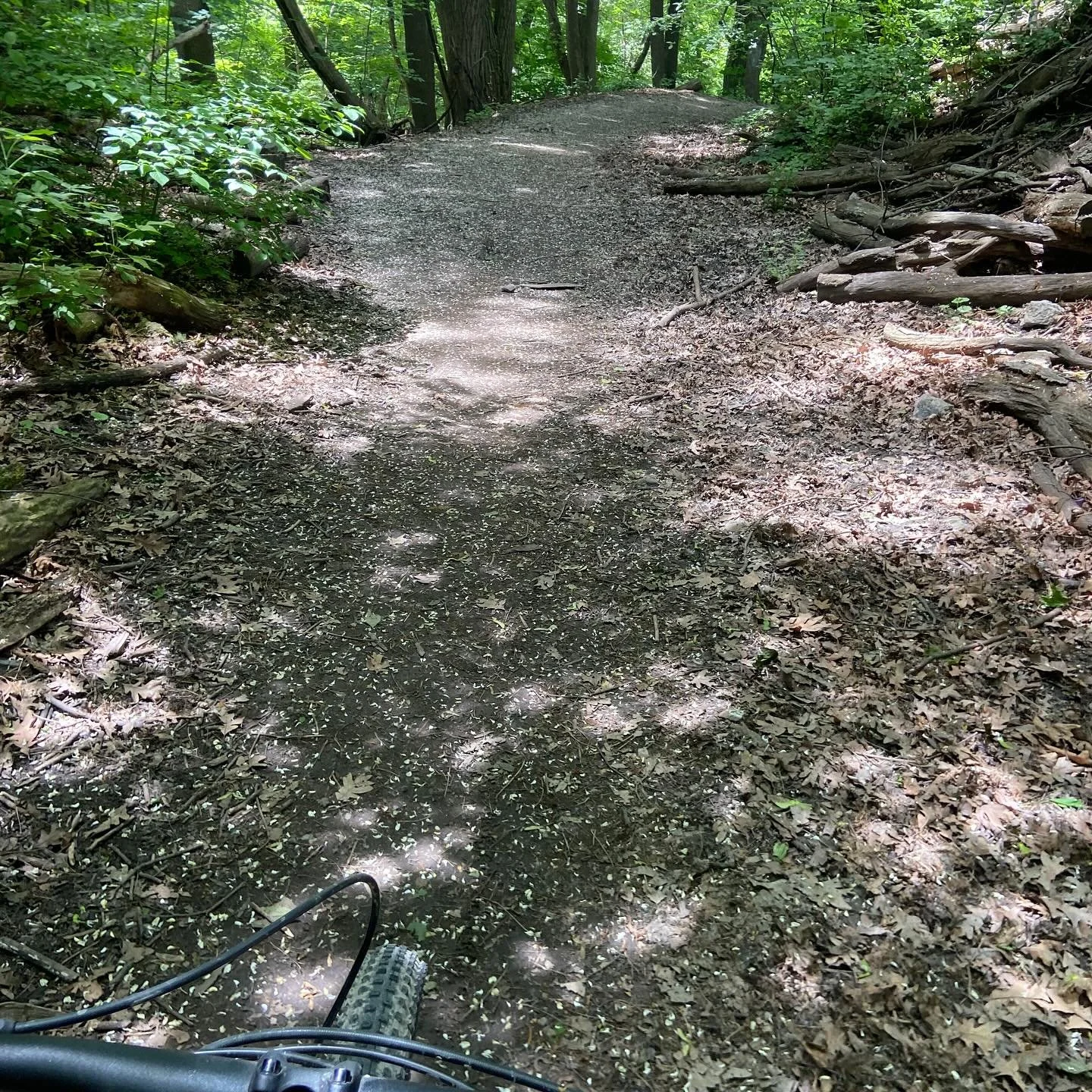 Some photos from today&rsquo;s ride. Trying to get back into the biking routine. 👌