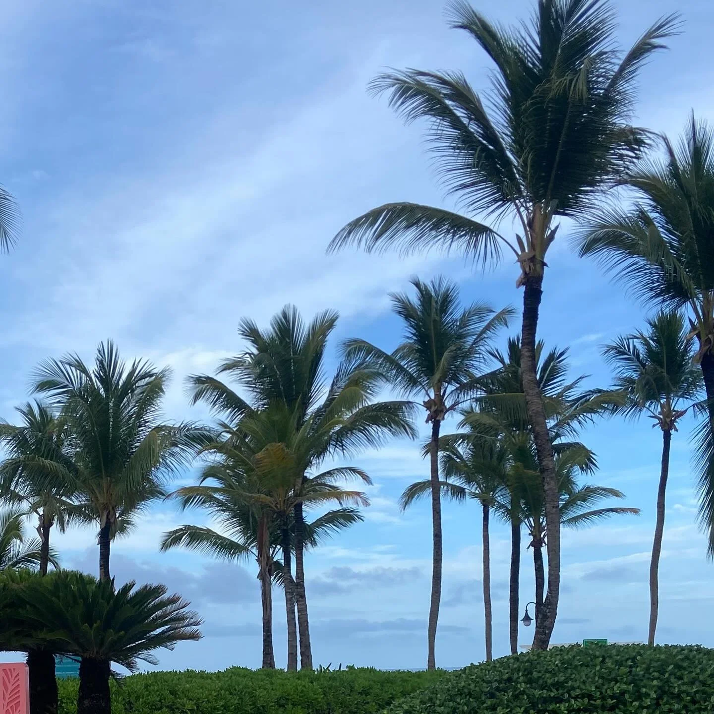 Hanging out here for the week. Back in office May 26. 👋🌊