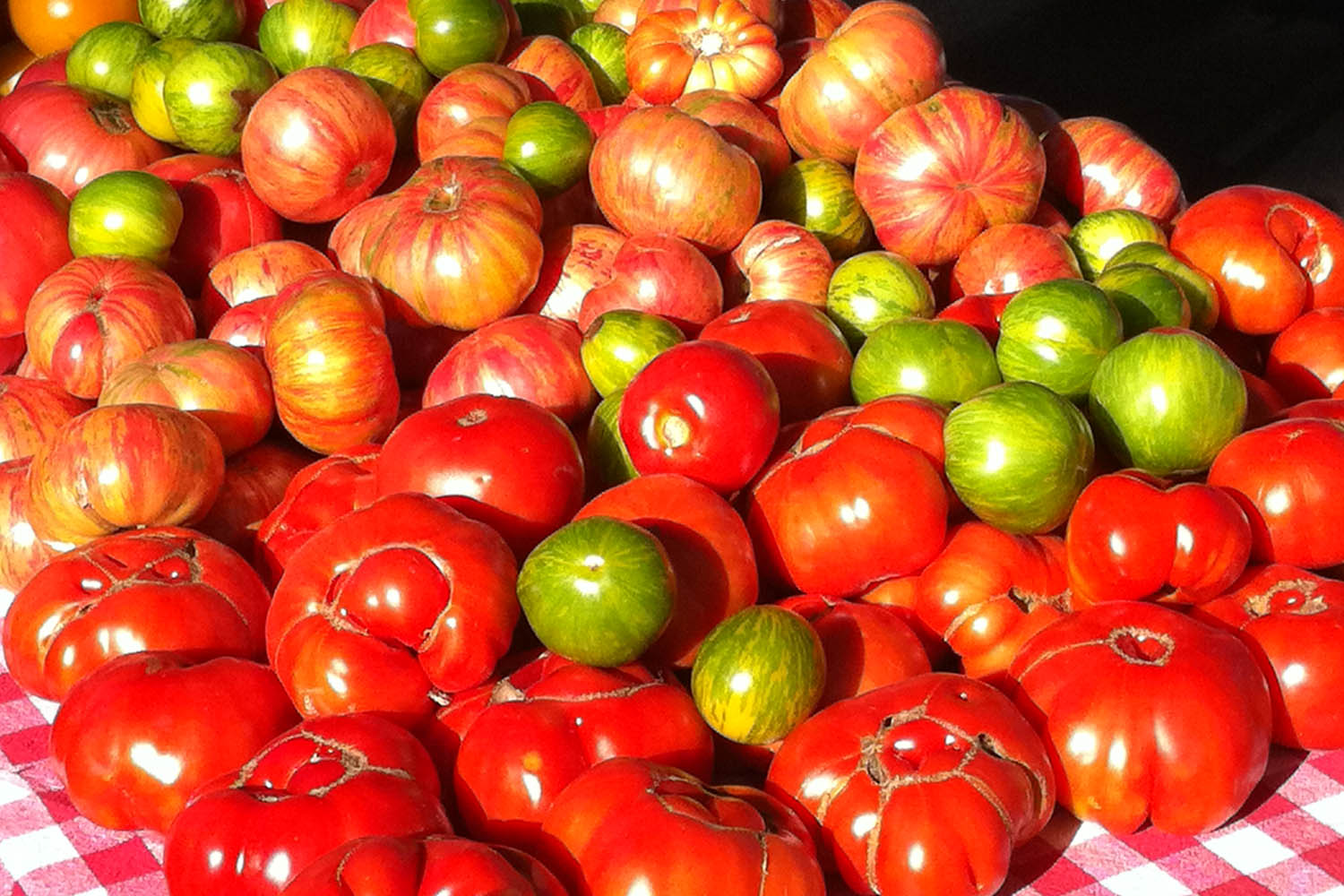 Heirloom Tomatoes at the South Lake Tahoe Farmers Market