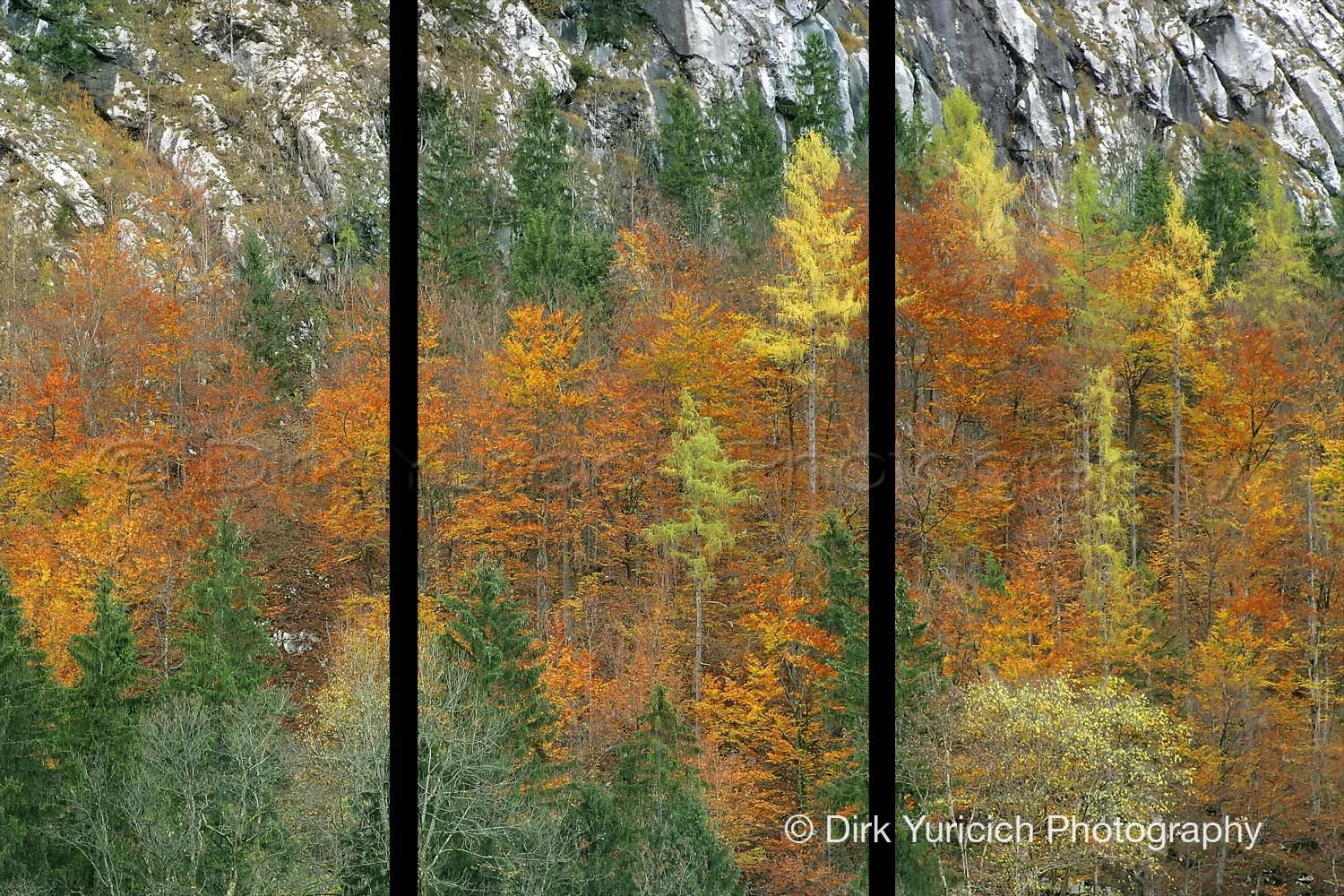 halstatt-austria-autumn-trees-triptych.jpg