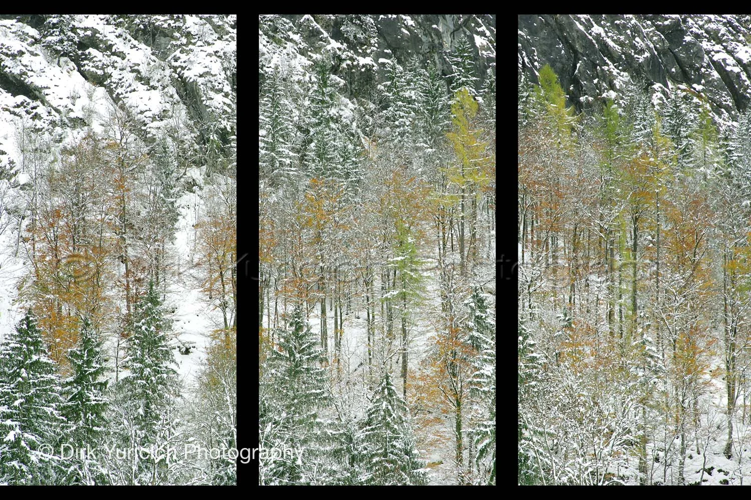 halstatt-austria-snow-trees-triptych.jpg