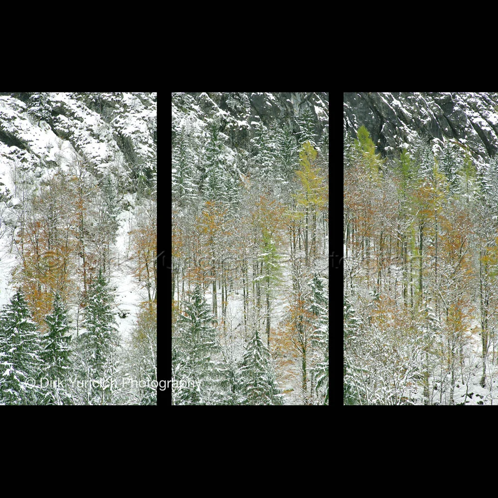Hallstatt Austria Snow Trees Triptych