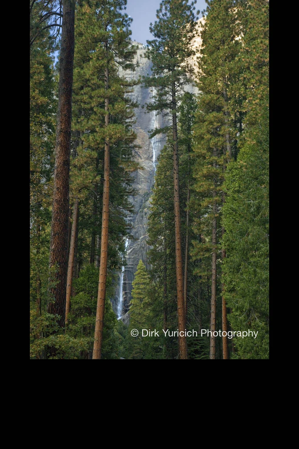 yosemite-falls-forest-autumn.jpg