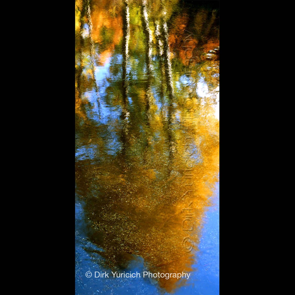 Monet Trees Panorama