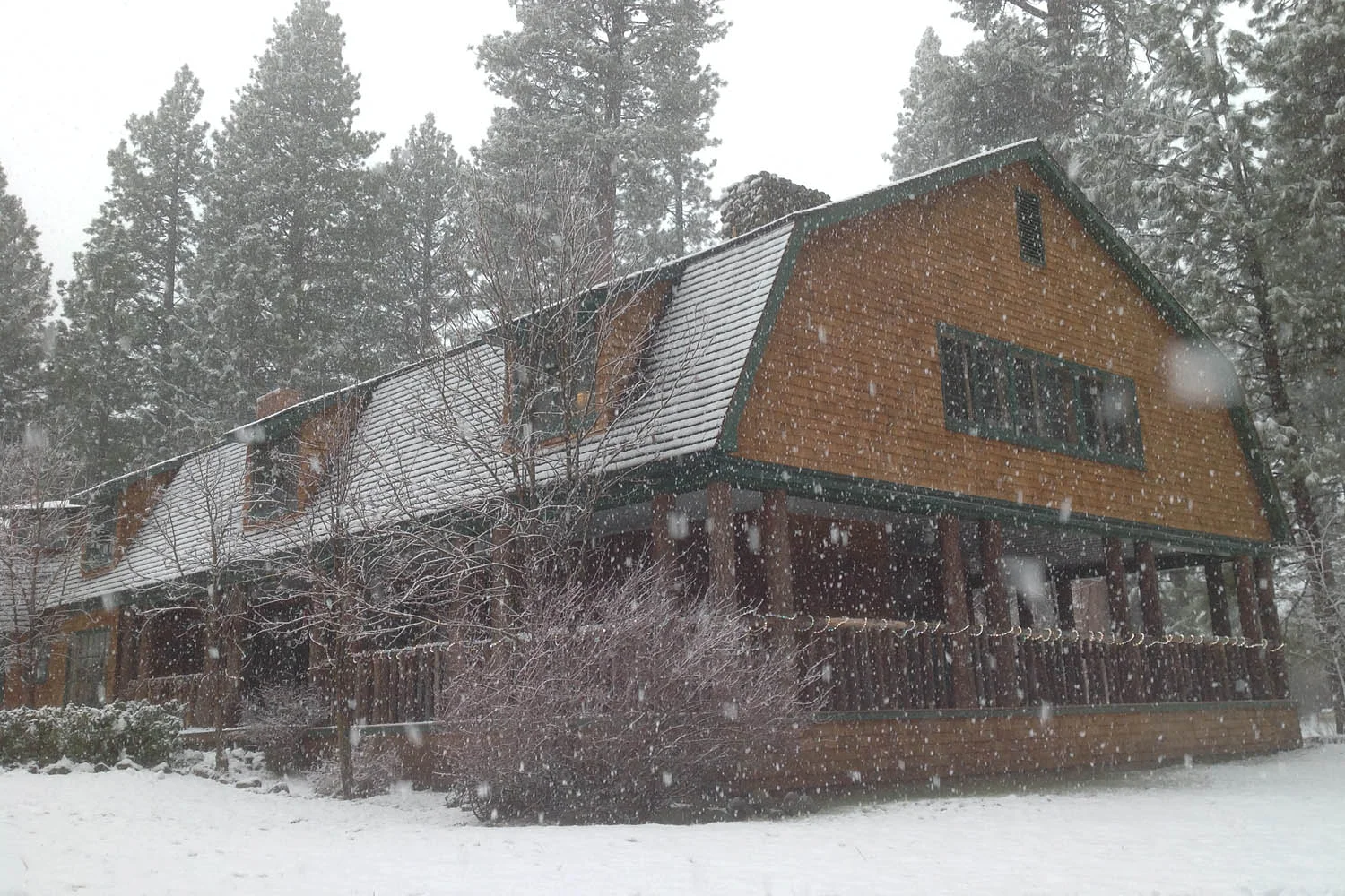 Valhalla Holiday Faire — Dirk Yuricich Photography