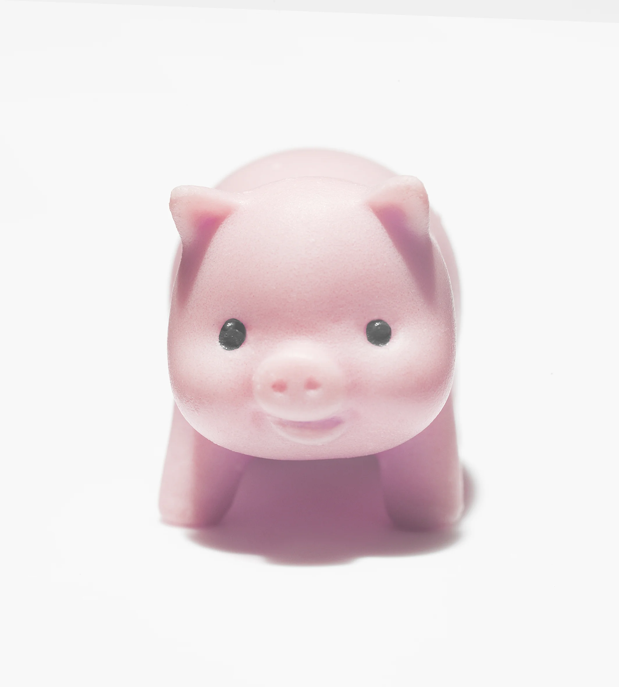 Piglet02-HR.jpg