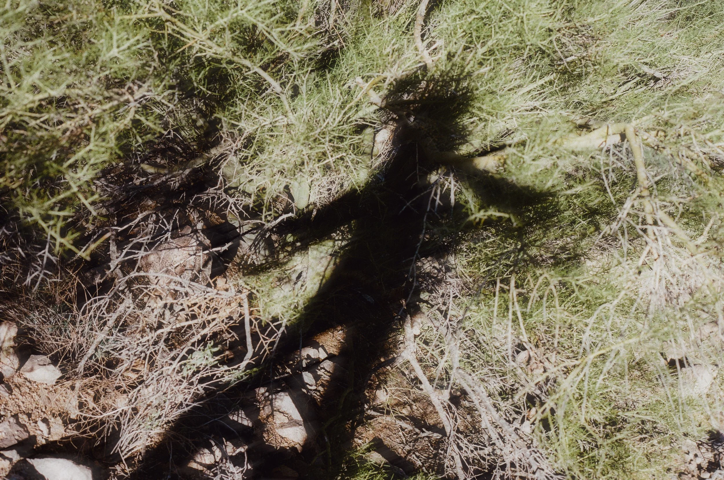 000973910006.jpg