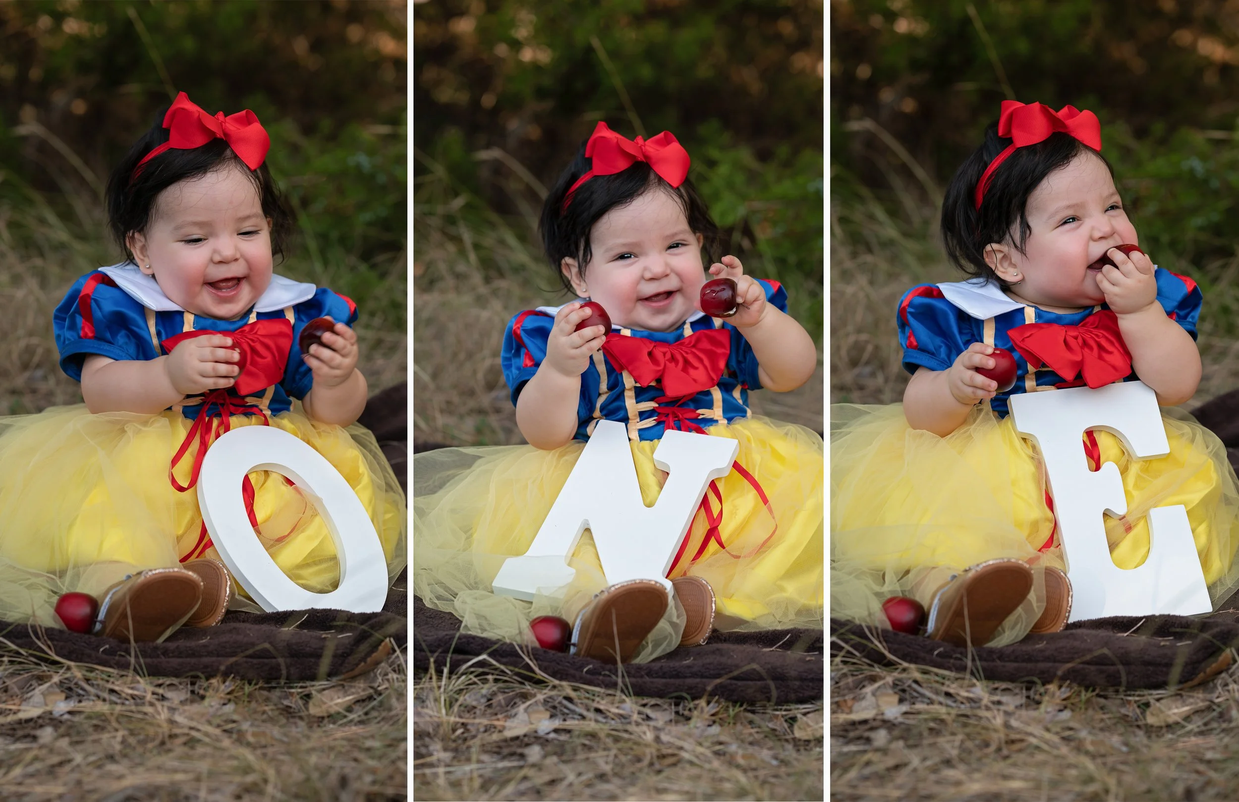 Interior Page 6 & 7 - Tri Fold - Emma.jpg