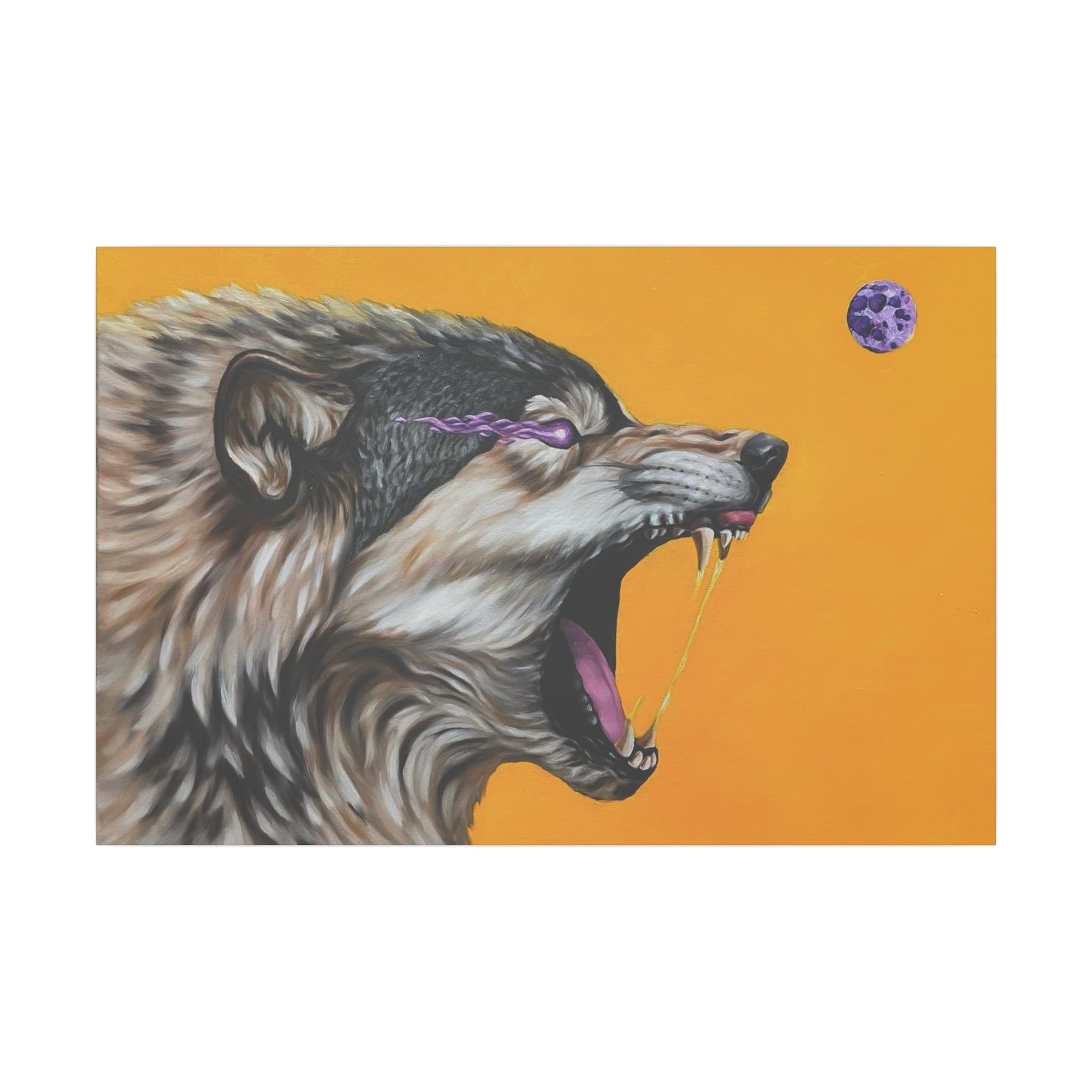 8ae7986dd9011dbe4679a430e1c580e2