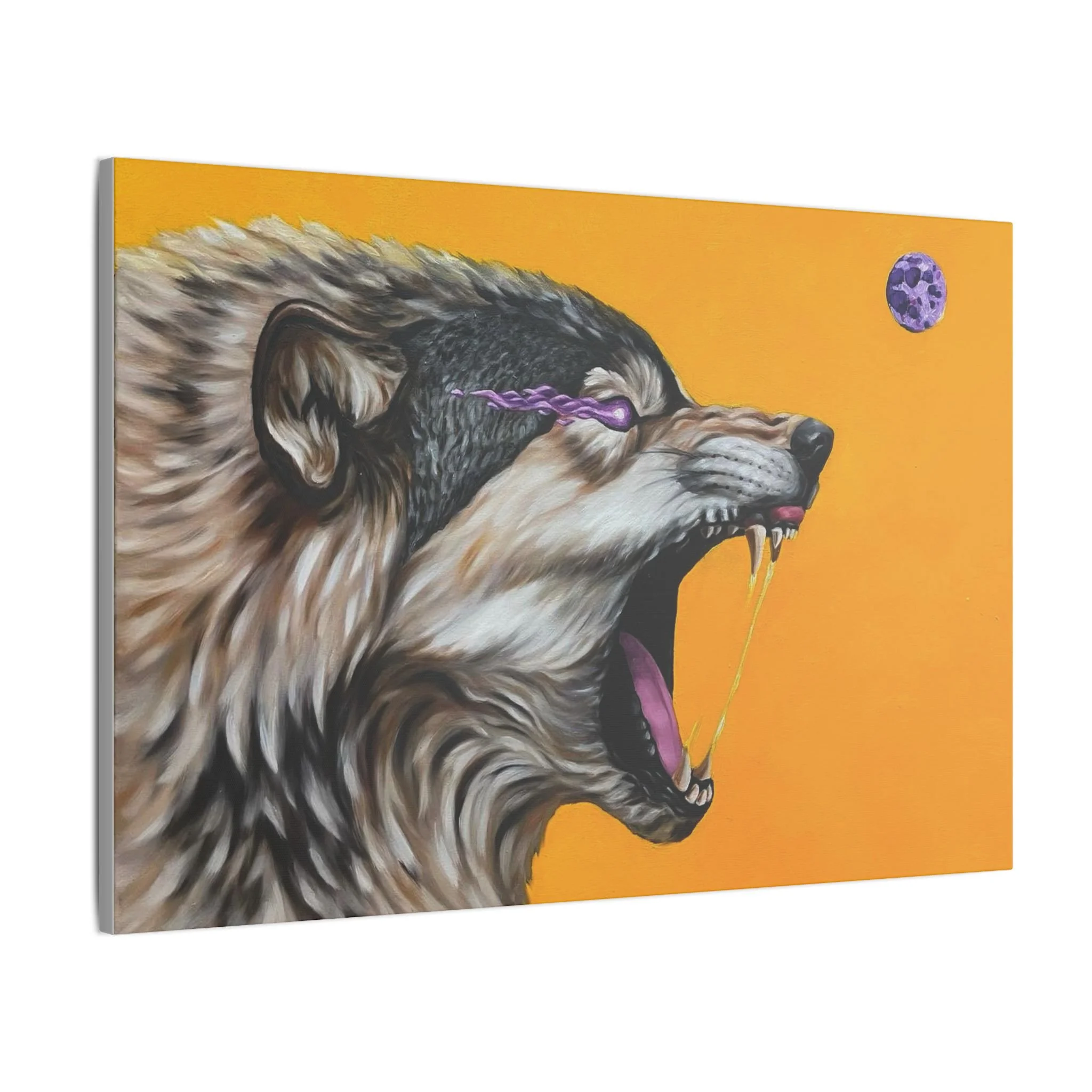 ef361c8735cbe3adc8380c5fae77b72f